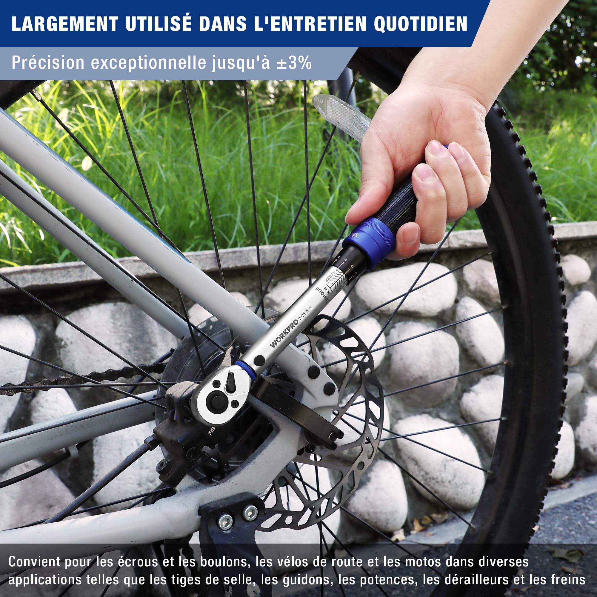 WORKPRO Clé Dynamométrique 1/4’’, Clef Dynamométrique Vélo | Cliquet 72 Dents Réversible, Extension, Adaptateur 1/4"-3/8", 11 Douilles Torx et Hexagonales pour Vélo