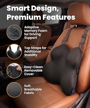 Everlasting Comfort Lumbar Support Pillow for Office Chair - Improves Posture, Promotes Back Pain Relief - Superior Back Support for Gaming and Desk Chairs - Lumbar Pillow for Car, Couch