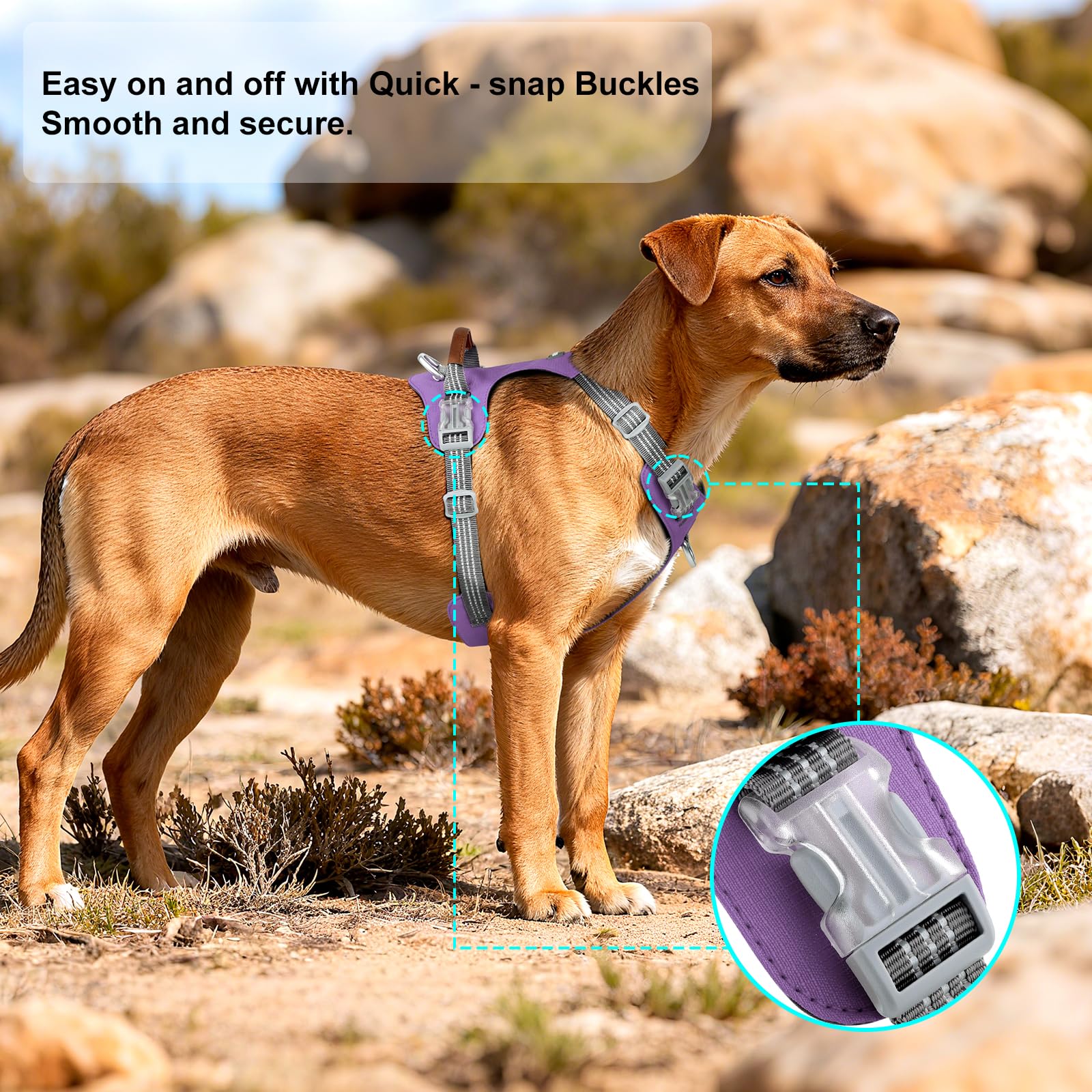 No Pull Dog Harness – Adjustable Reflective Nylon Vest for Small Medium Large Dogs, Escape Proof Training Harness with Leather Control Handle, Lightweight Aluminum Hardware (Purple, M) - image 5