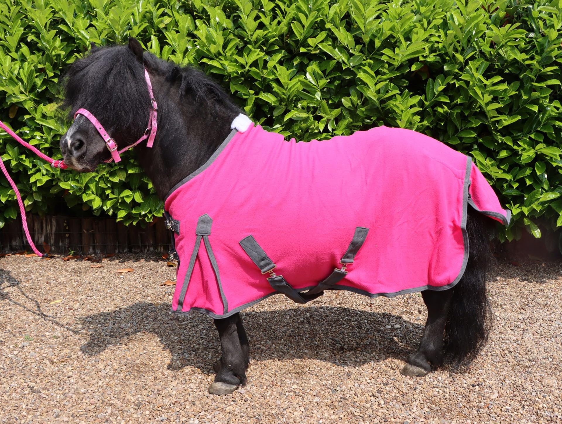Ruggles Polar Fleece Rug For Shetland Section A Donkey and Miniature Horse | Versatile Rug Ideal for Shows Travel Stable after Exercise or Bathing (Pink, 3' 6")