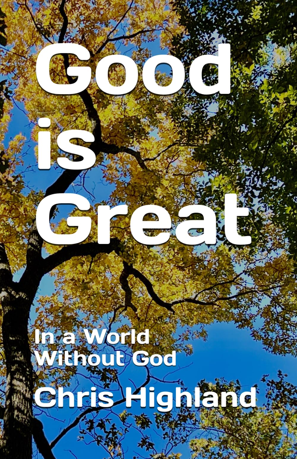 Good is Great: In a World Without God
