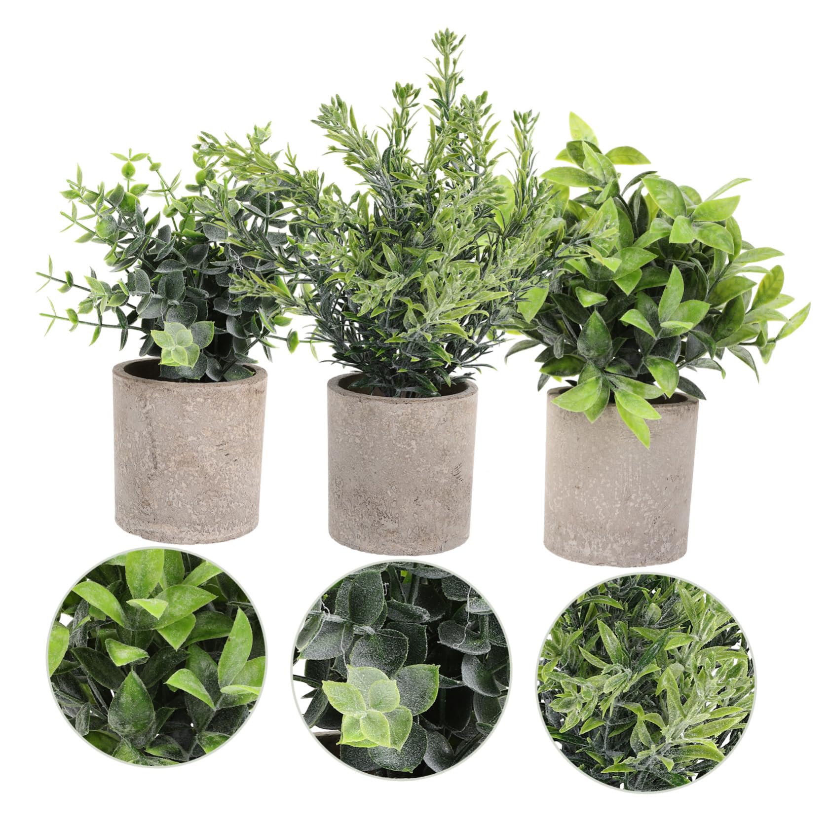 Zerodeko 3pezzi Potted Eucalyptus Per Decorazione Per e Casa Centrotavola Per Spazi