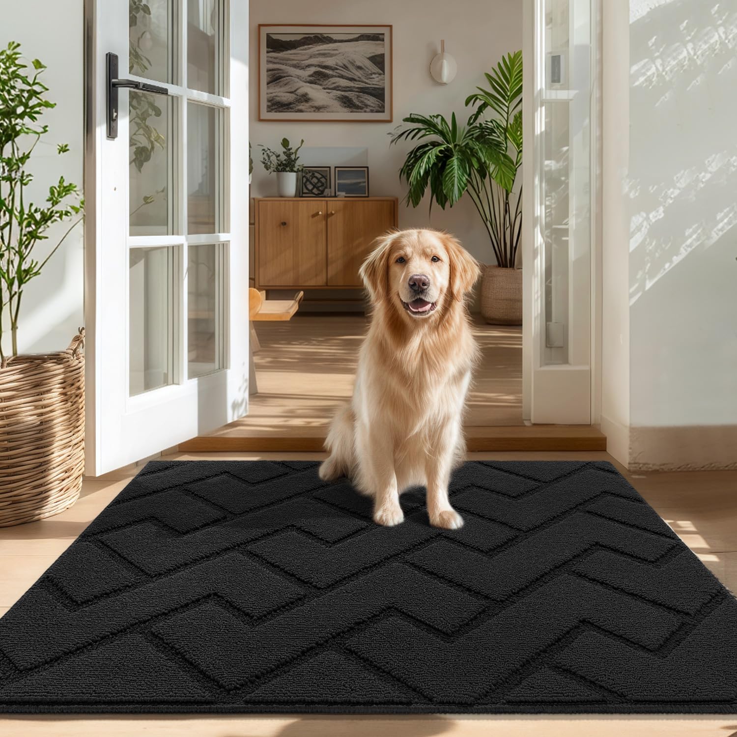 Paillasson absorbant Biscpro 80x100cm antidérapant et lavable pour garder l'entrée propre