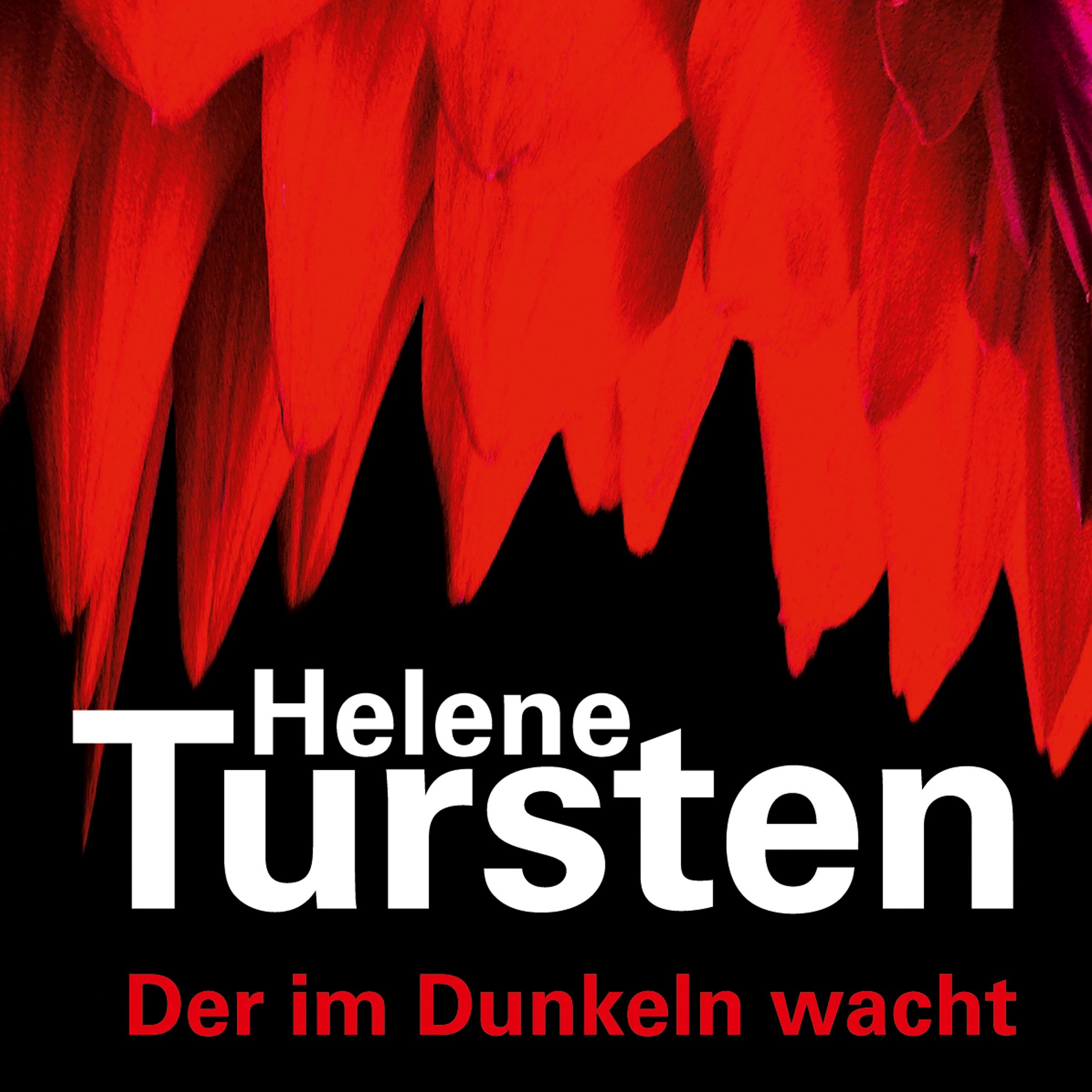Cover art for Der im Dunkeln wacht