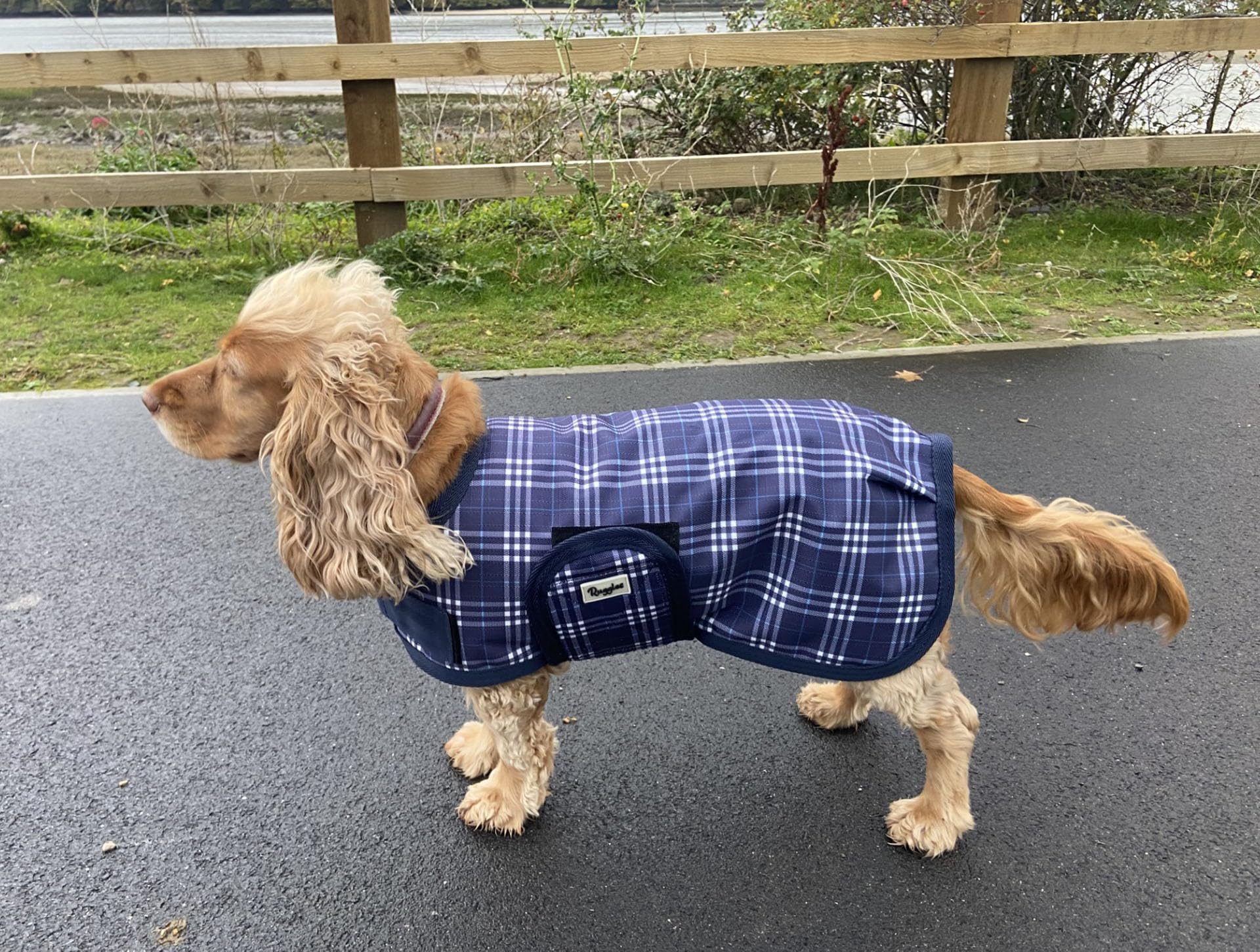 Ruggles Waterproof Dog Coat - Breathable, fleece lined dog rain jacket (Blue Check, 12")