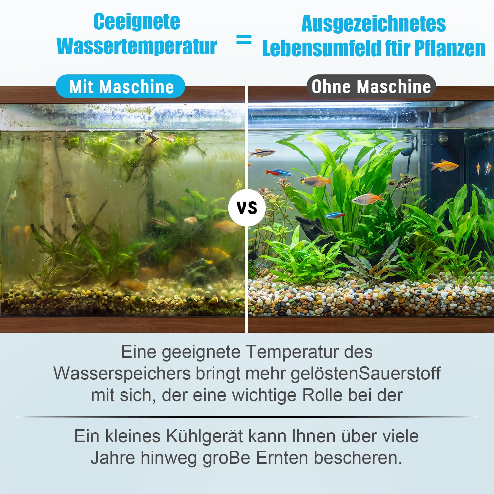 Refrigeratore Acquario 160L, Refrigeratore per Acquario D'acqua Serbatoio di Pesce Raffreddatore Acquario Silenzioso Raffreddamento Acquario con Compressore per Acquari, Meduse, Piante D'acqua