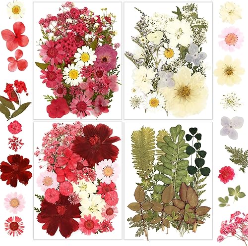 Resiners 100 flores secas prensadas para moldes de resina, flores prensadas reales, kit de hojas secas para manualidades, fabricación de joyas de