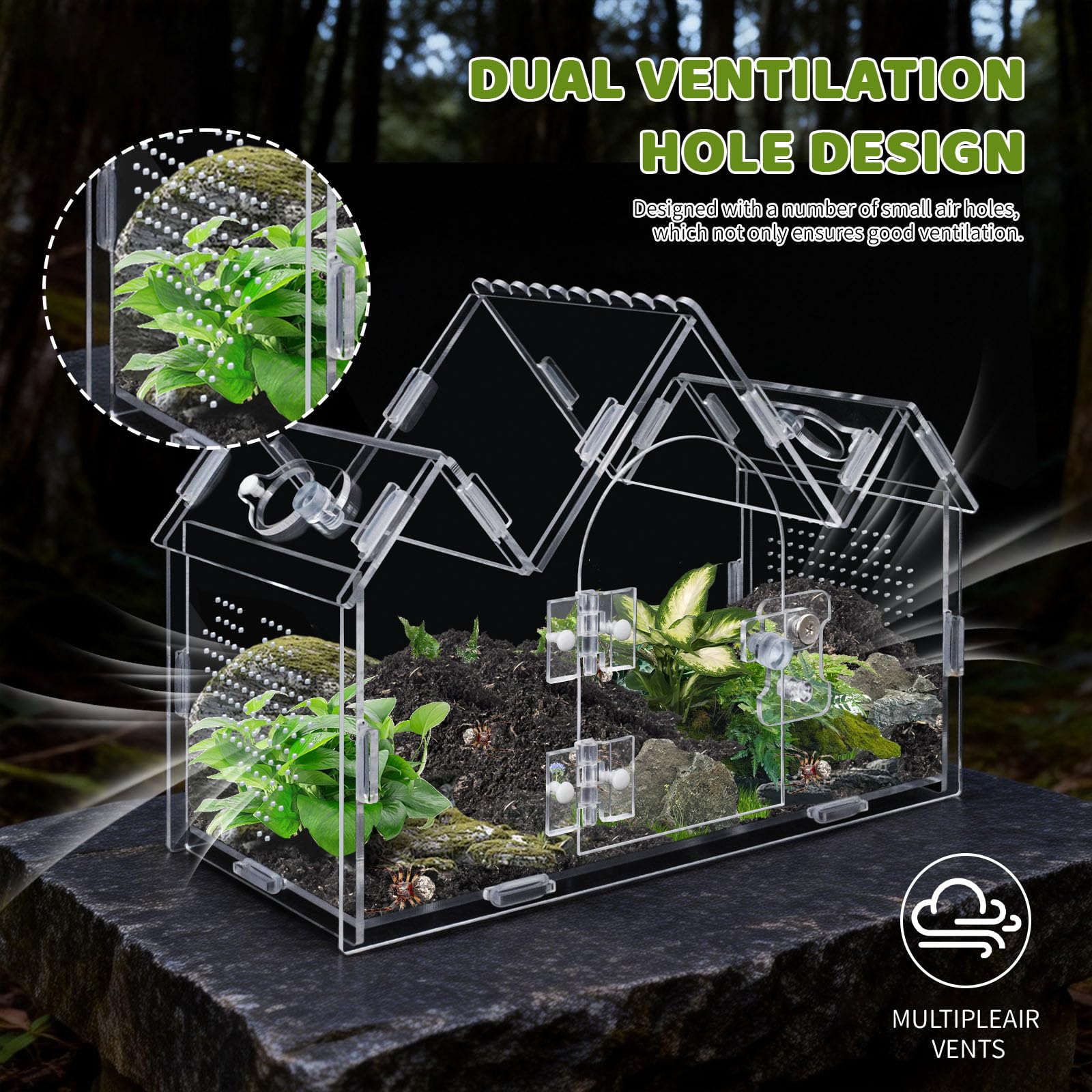 Acryl Terrarium für Springspinnen, 24x11x17cm Vogelspinnen Gehege mit Fronttür & Fütterungslöchern, Durchsichtiges Insektenhaus im Schloss-Design