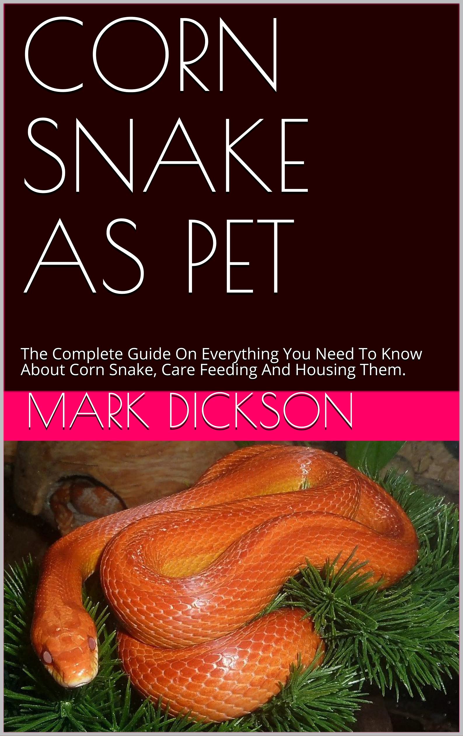 Buy CORN SNAKE AS PET The Complete Guide On Everything You Need To