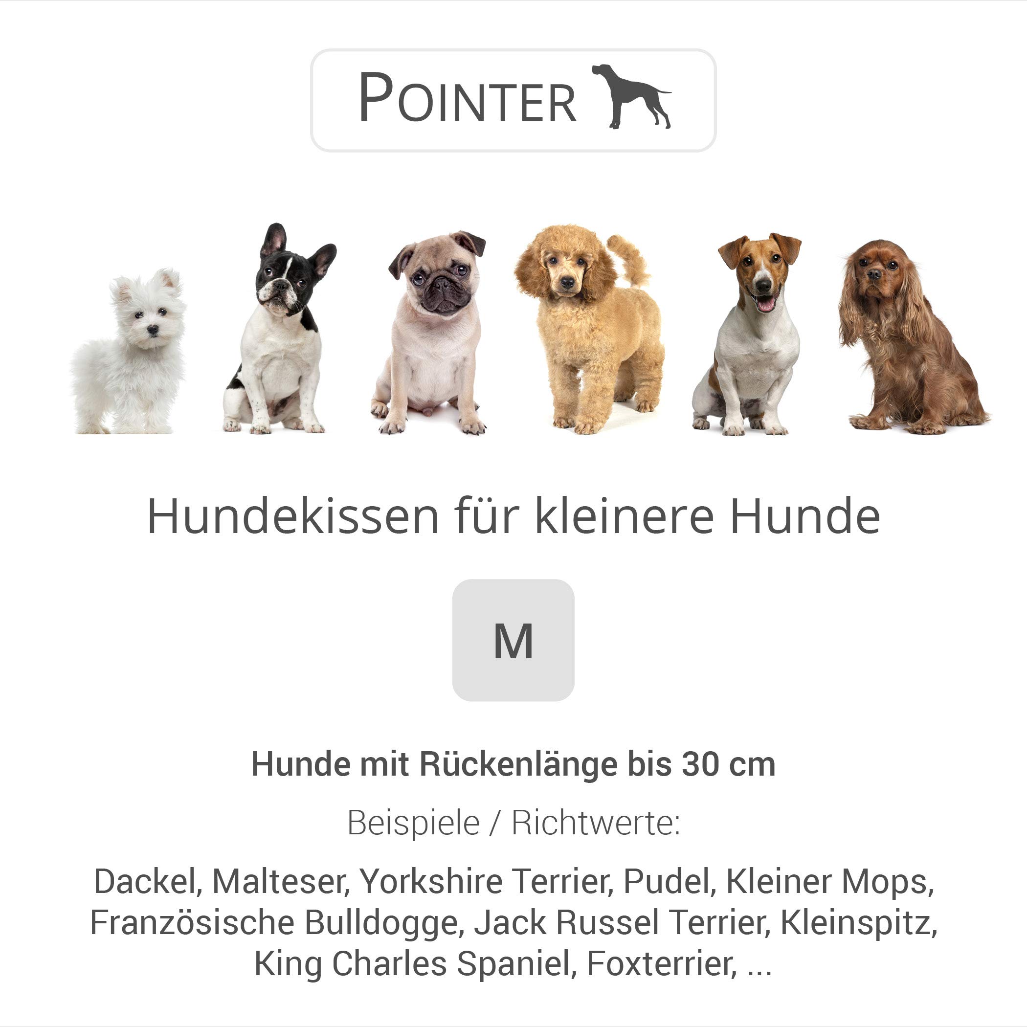 Pointer | Urban Hundekissen Kleine Hunde, 50x40 cm - Orthopädisches Hundebett Waschbar bis 95°C, Geruchsfrei, Robust, Indoor & Outdoor, Made in Germany (M - 50x40 cm, Hellgrau)