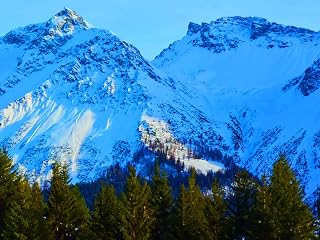 World Economic Forum Davos 2026