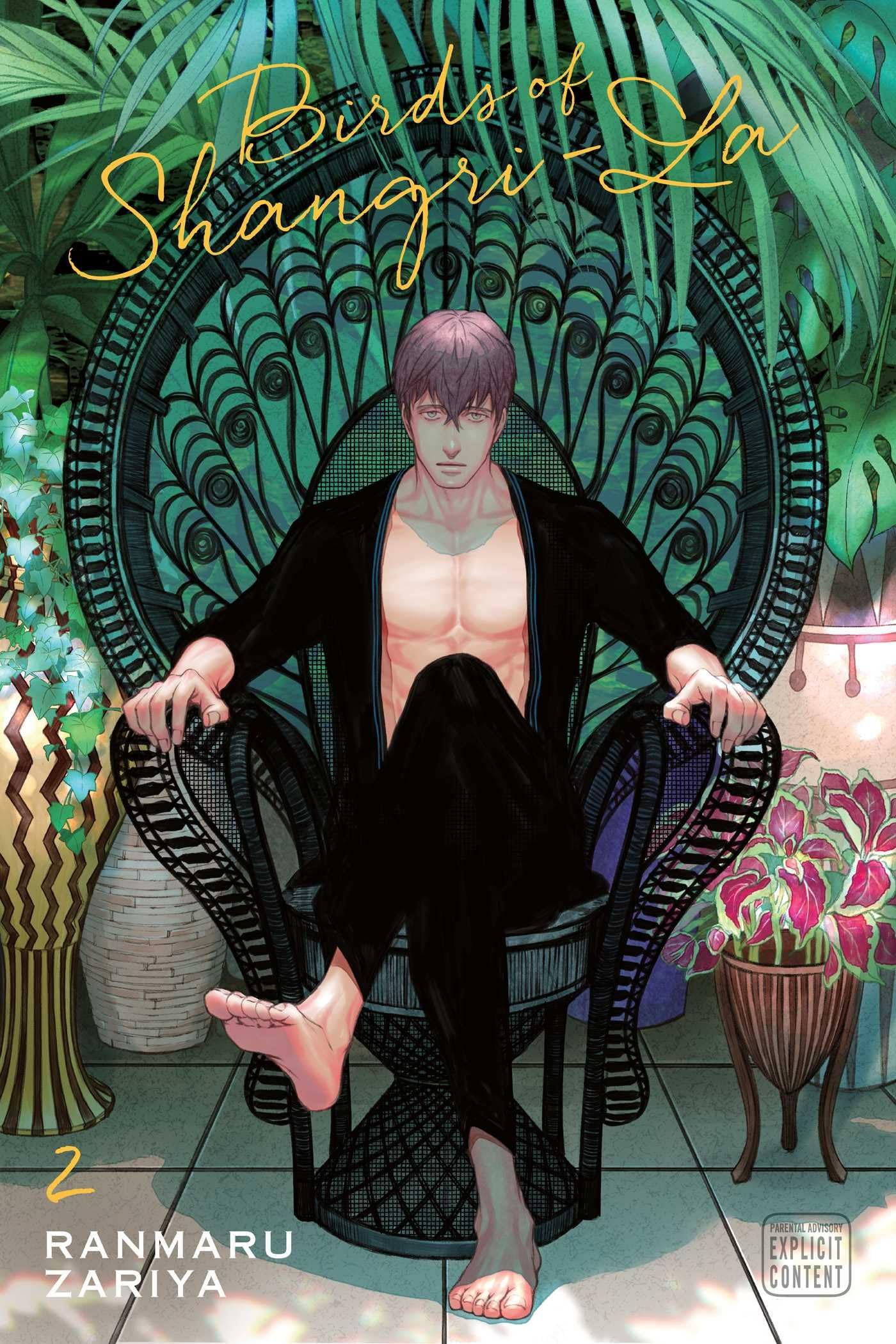 Birds of Shangri-La, Vol. 2: Volume 2