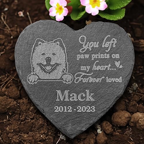 Vista 19 de Estatua de bulldog continental, piedra conmemorativa del bulldog continental, placa conmemorativa del bulldog continental, recuerdo personalizado