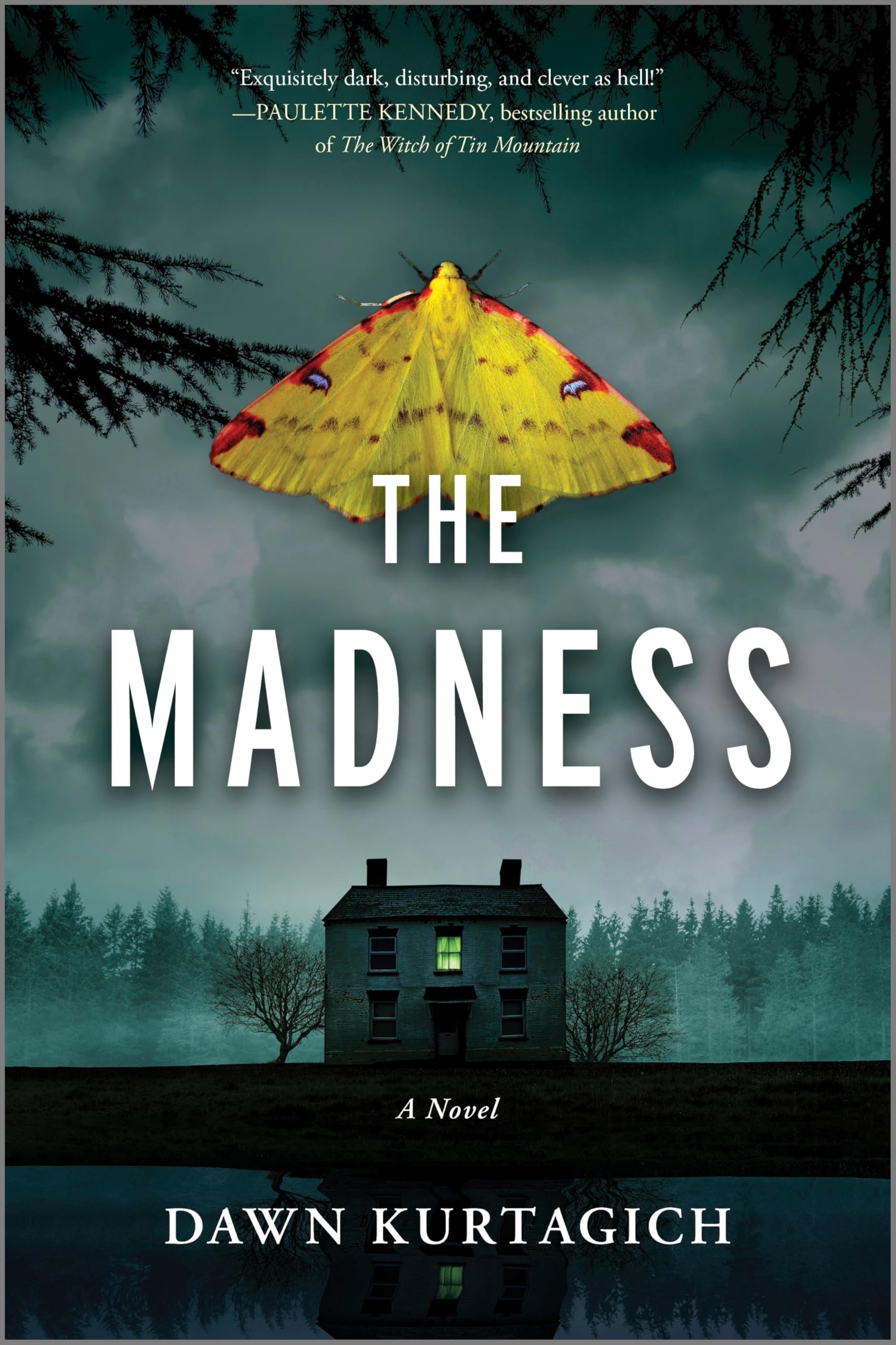 The Madness by Dawn Kurtagich PAPERBACK 9781525830440