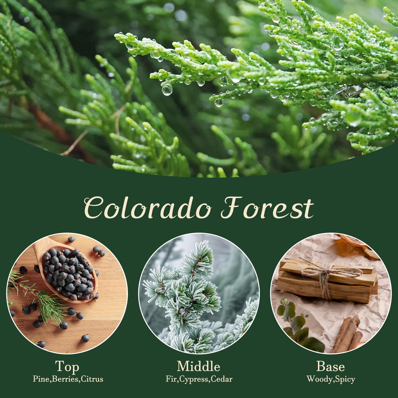 Fieldspark Christmas Candles Scented with Warmer LED, Fall Holiday Candles Christmas Tree Colorado Forest Spice, 7 oz Jar Candle 50 Hour Burn Time, for Gifts, Decorations, 100% Soy Wax, White