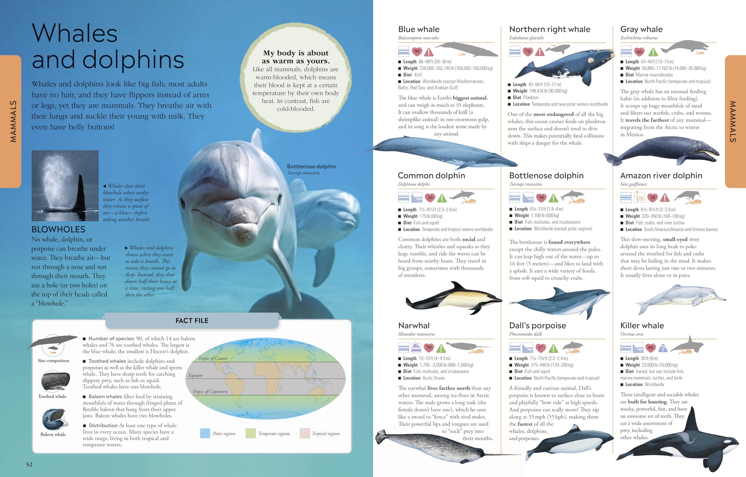 Animals A Visual Encyclopedia (Dk Smithsonian) - Image 4