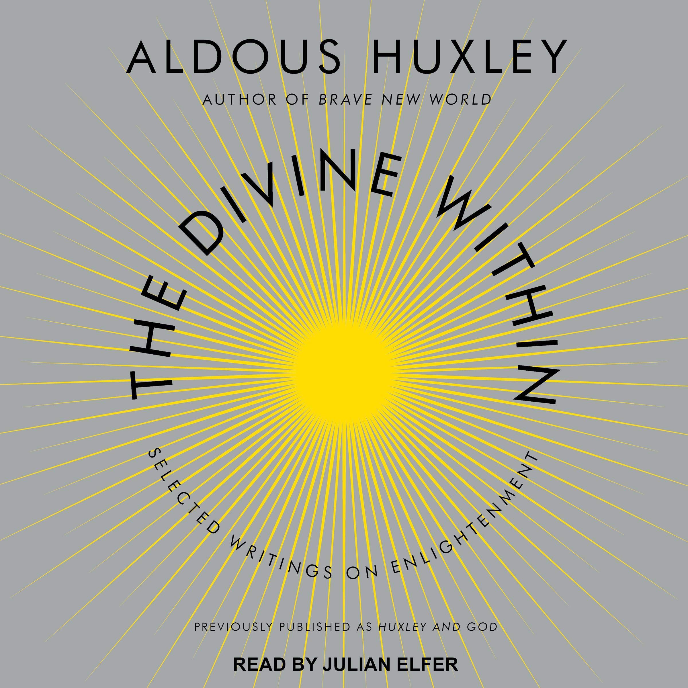 Cover art for The Divine Within