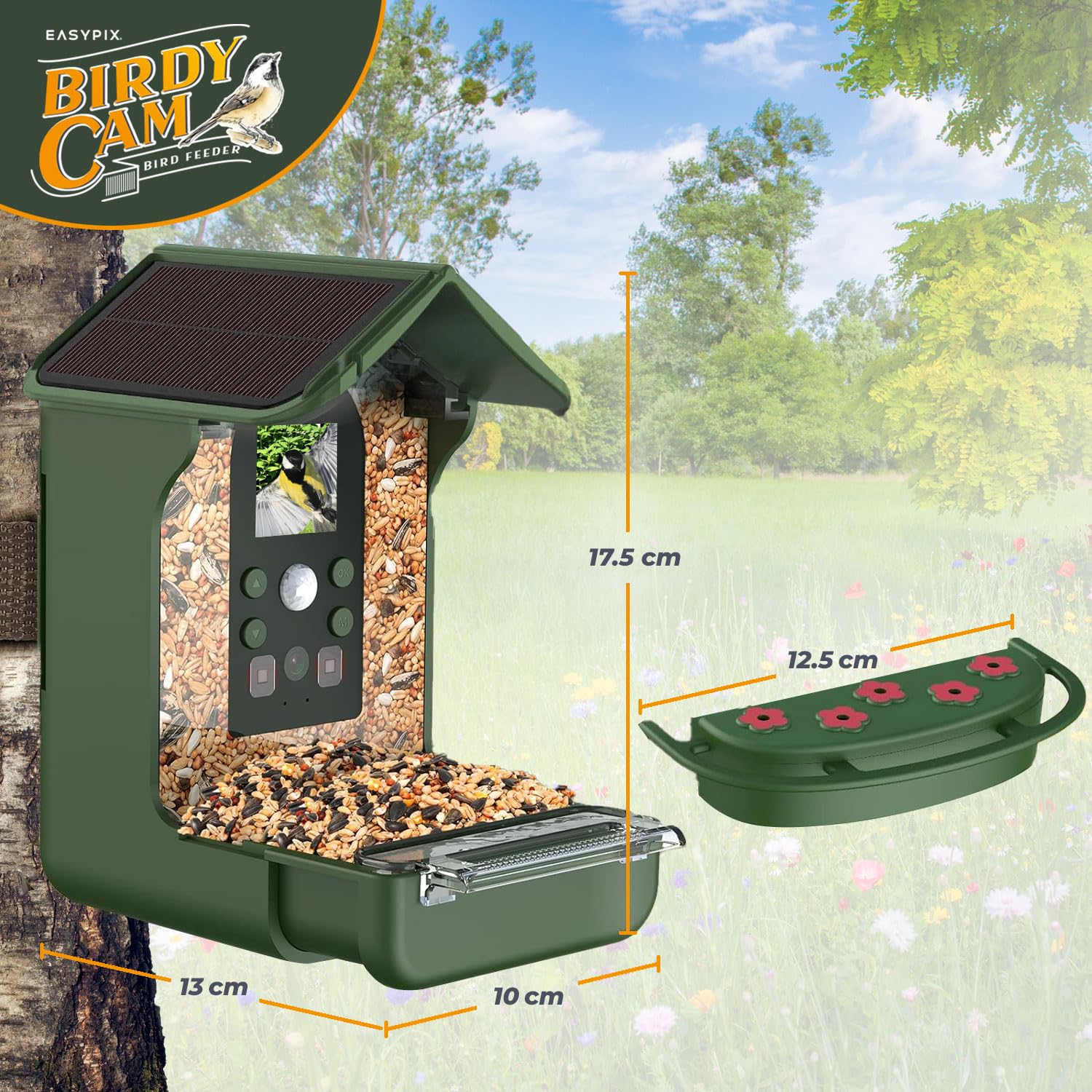 EASYPIX BirdyCam Comedero con Cámara Energía Solar Automático HD Video y Fotos de Pájaros Comedero Comedero para Jardín