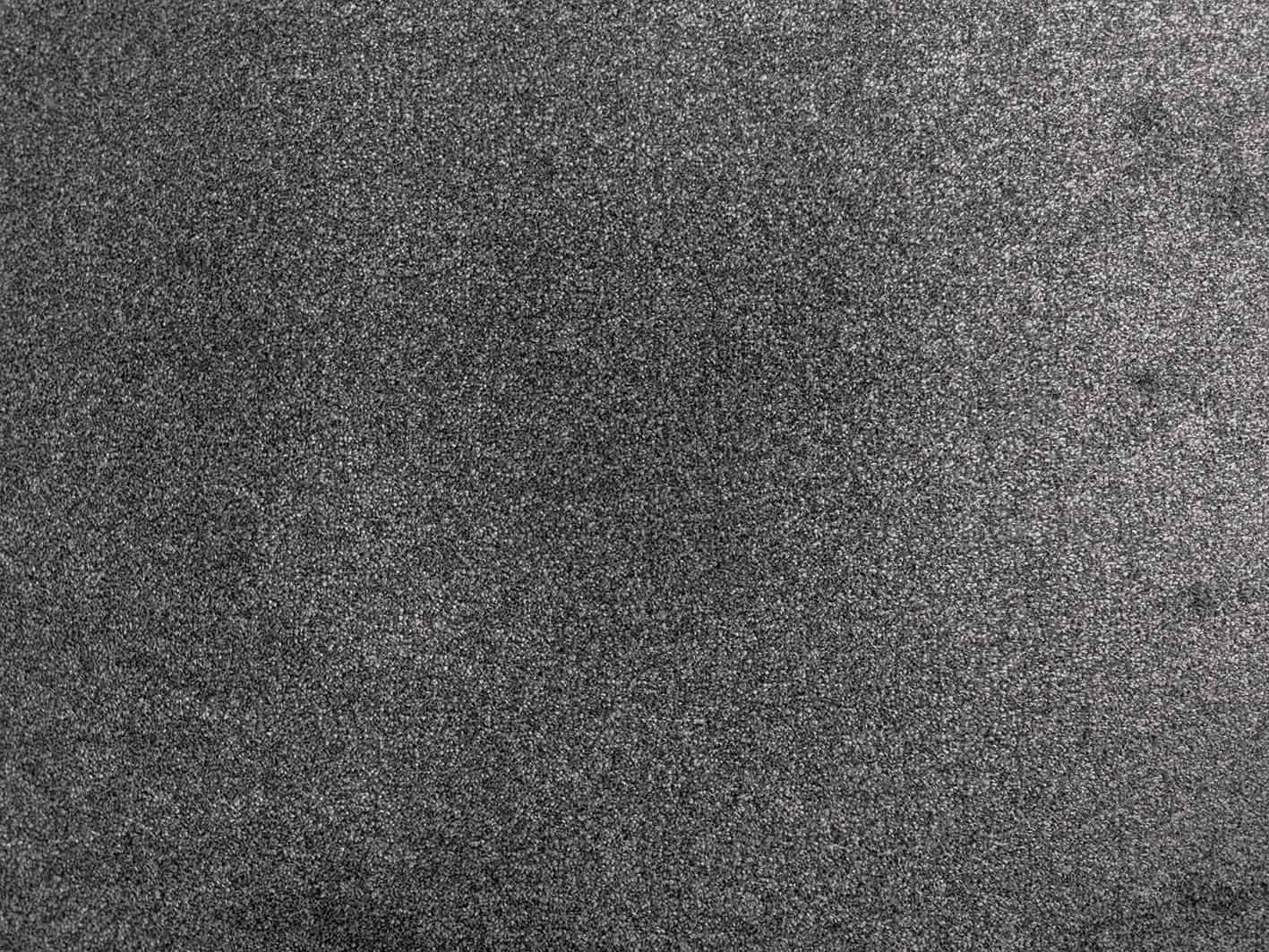 Moquette velours douce et moelleuse Jasmin | Moquette haut de gamme pour les pièces à vivre, gris, Découpe (4m de large / 6m de long)