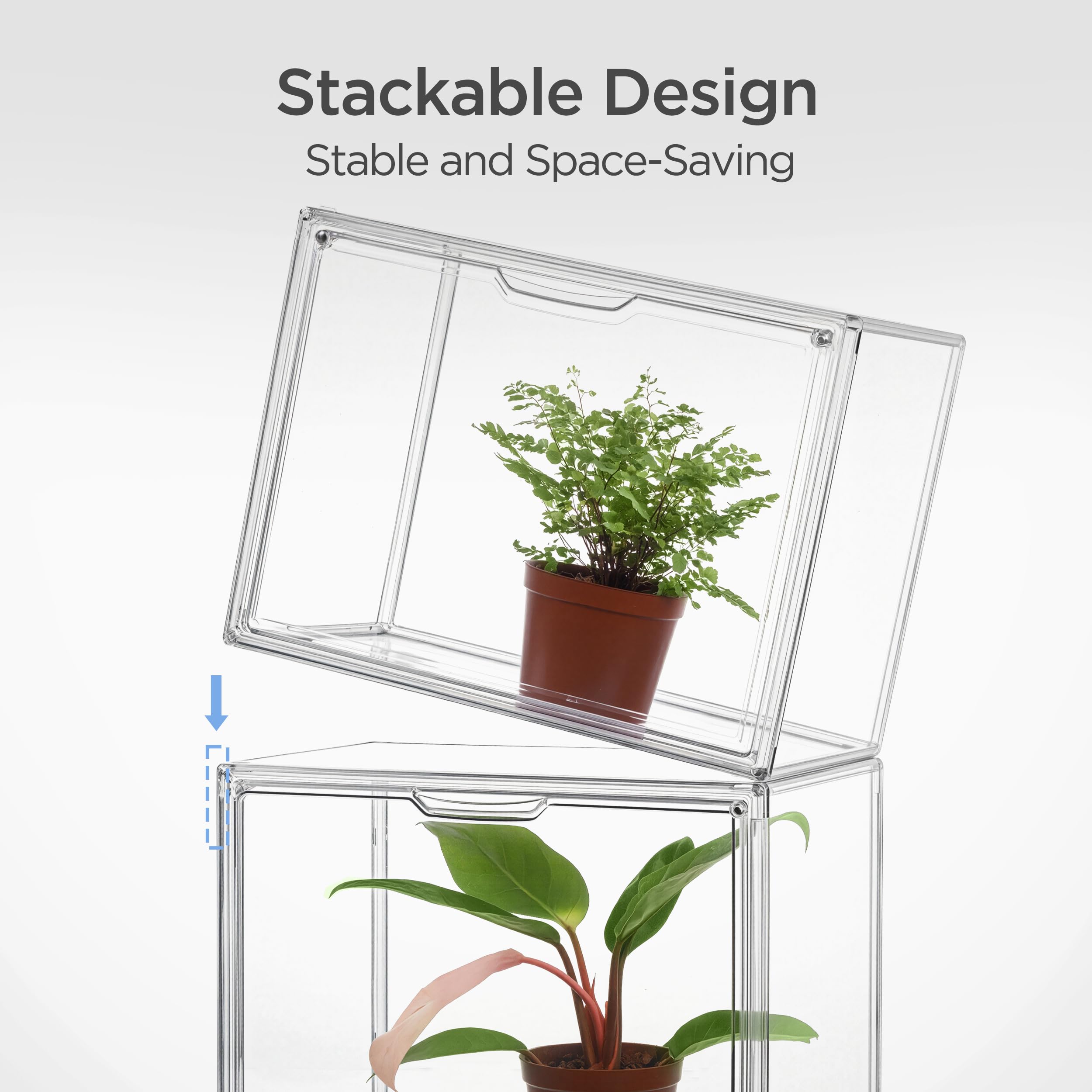 HBlife Mini serra per interni, trasparente, impilabile, con porta magnetica impermeabile per piccole piante, germinazione, serra portatile da tavolo, 36 x 21 x 26 cm (confezione da 5)