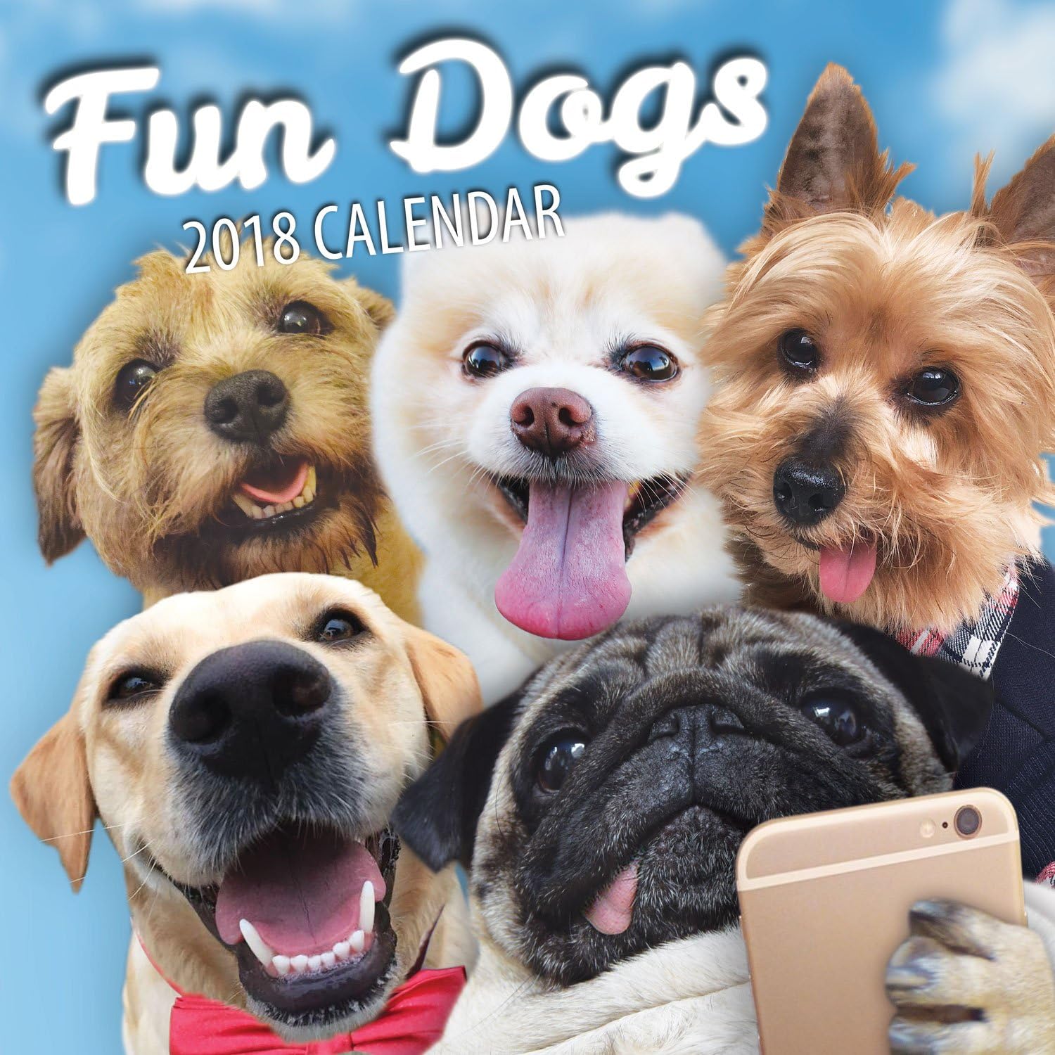 Fun Dogs 2020 Dog Wall Calendar