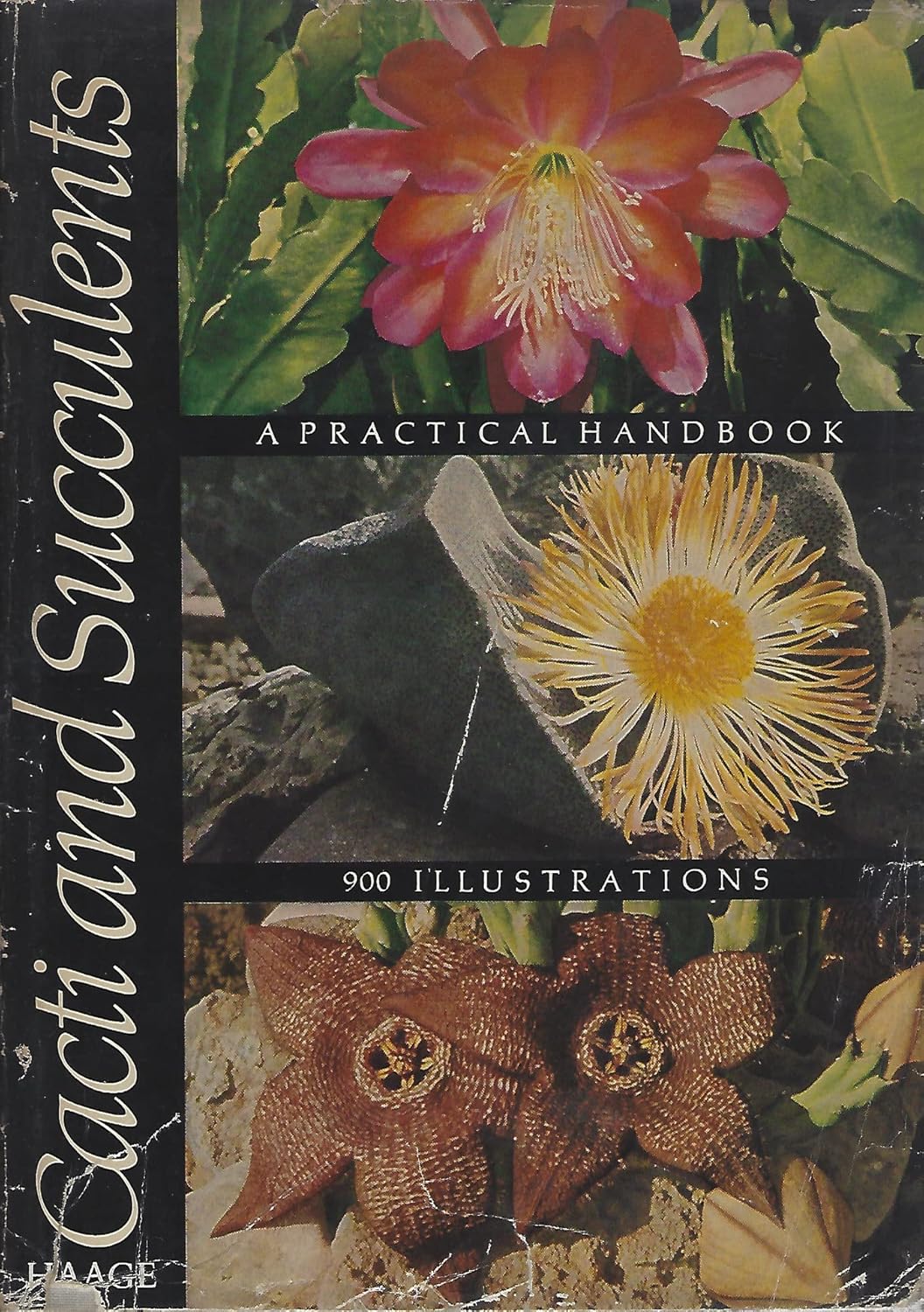 Cacti and Succulents. A Practical Handbook. Translated and Revised by E