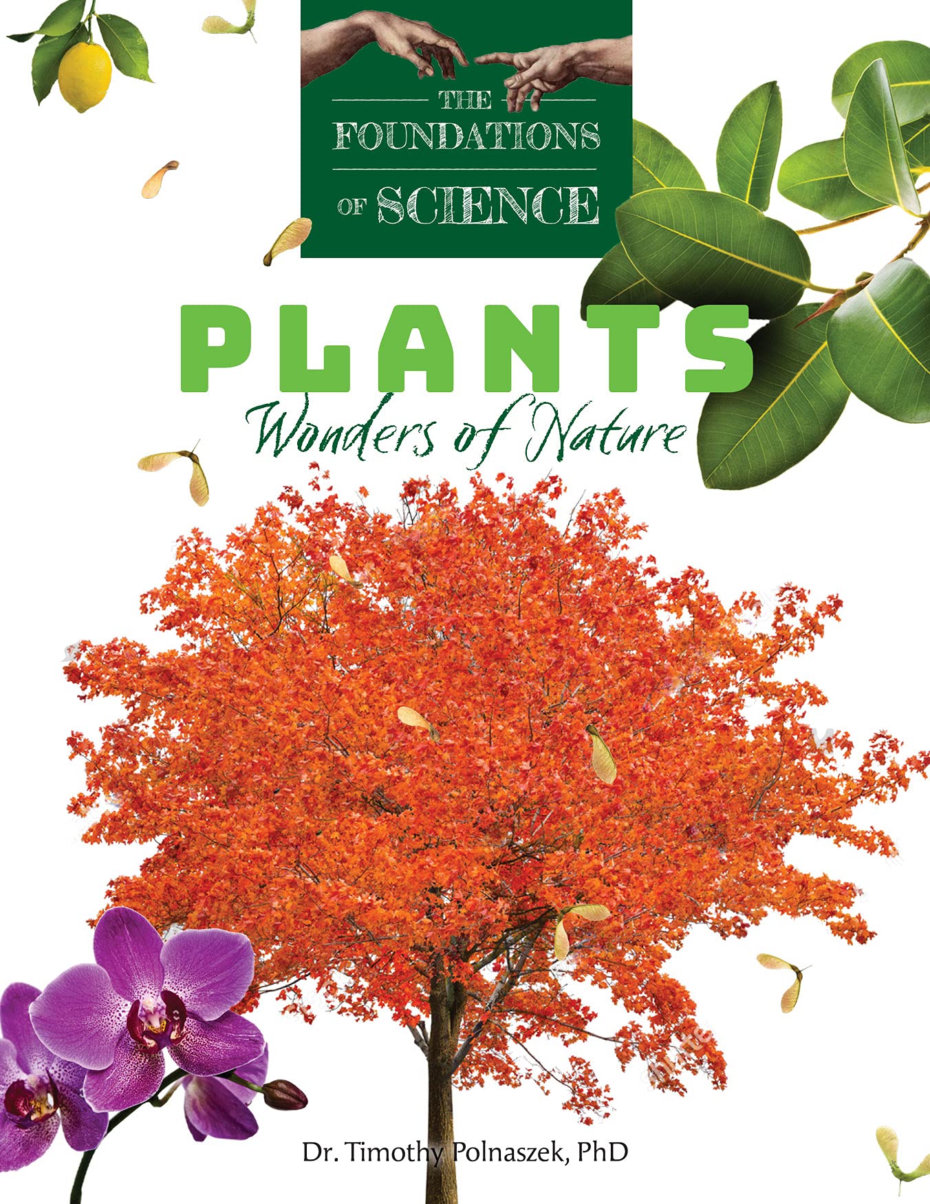 Plants: Wonders of Nature (The Foundations of Science)