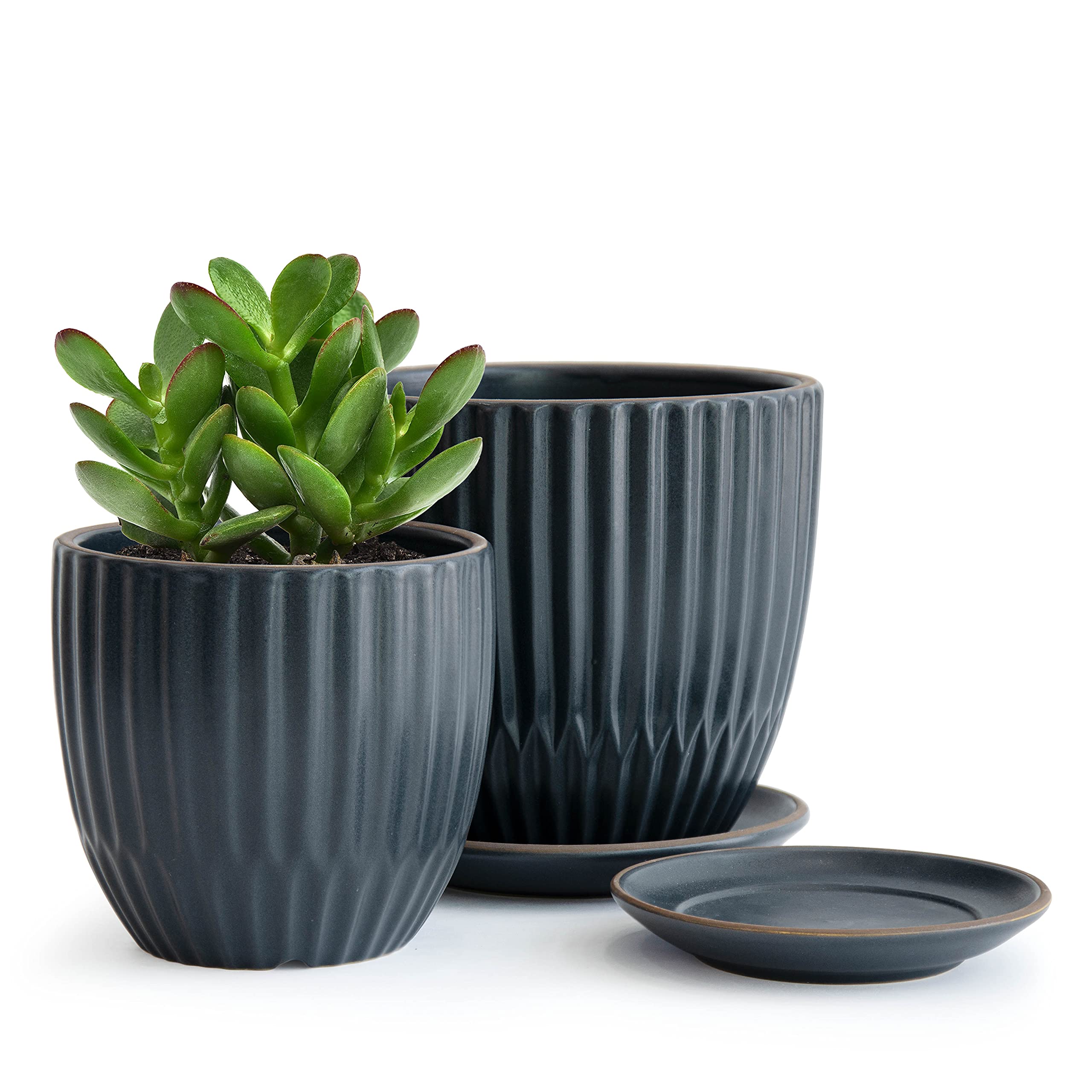 Amazon.com : D'vine Dev Set of 2 Stoneware Planter Pot, Ceramic