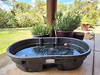 Review Image by D Wins D Wins