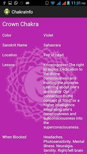 Chakra Meditation with Reiki
