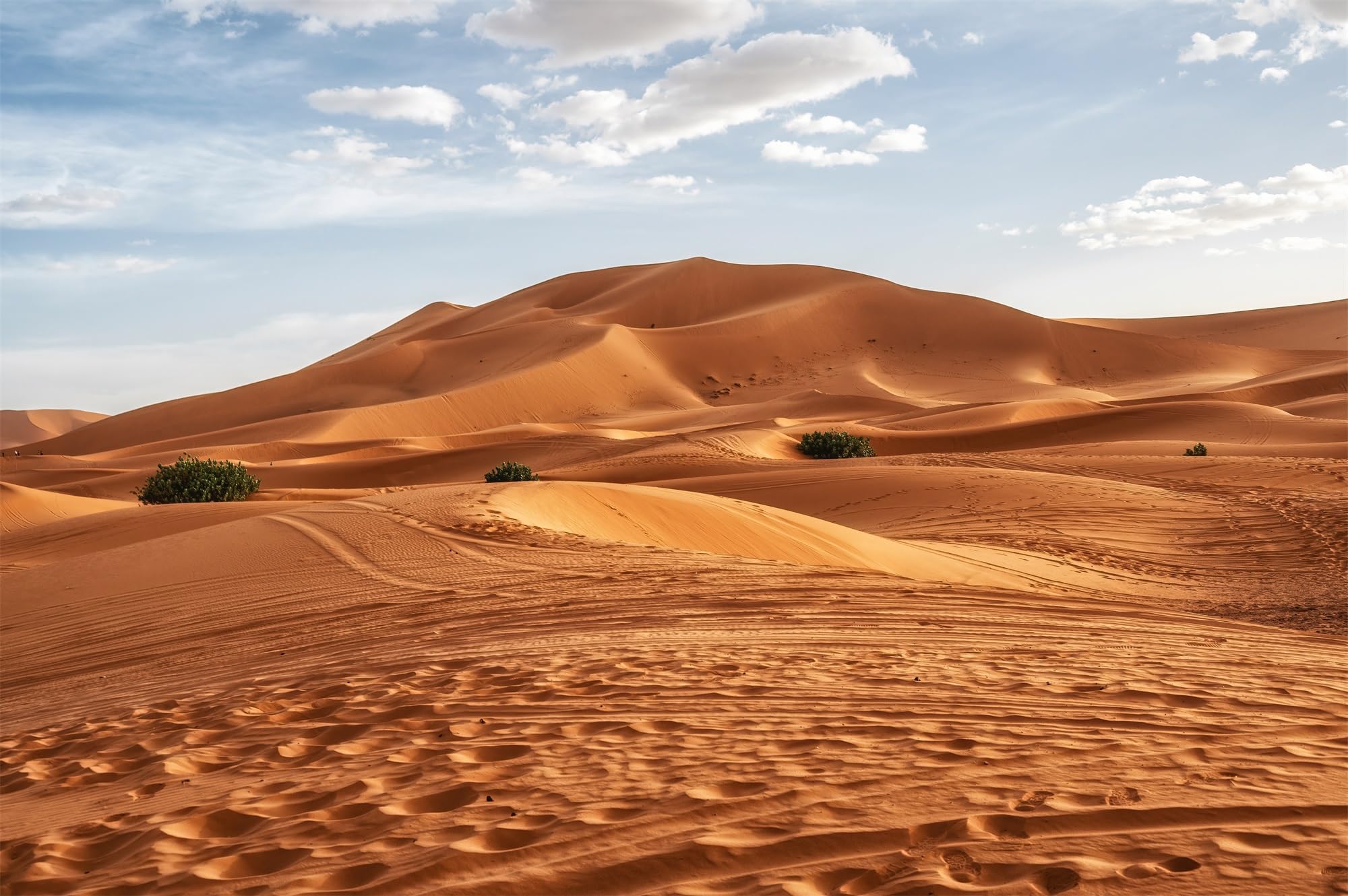 BELECO 3.6x2.5m Telo sfondo deserto Sahara | Dune di sabbia cielo blu nuvole bianche sfondo paesaggio deserto decorazioni festa accessori cabina foto