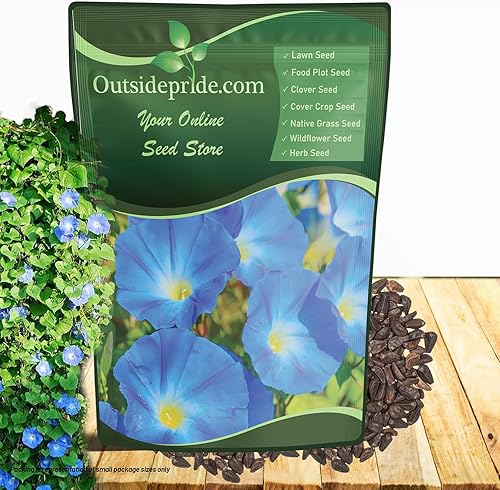 Outsidepride Heavenly Blue Morning Glory Seeds - Semillas de flores anuales, trepadoras y enredaderas para plantar flores azules, ideales para
