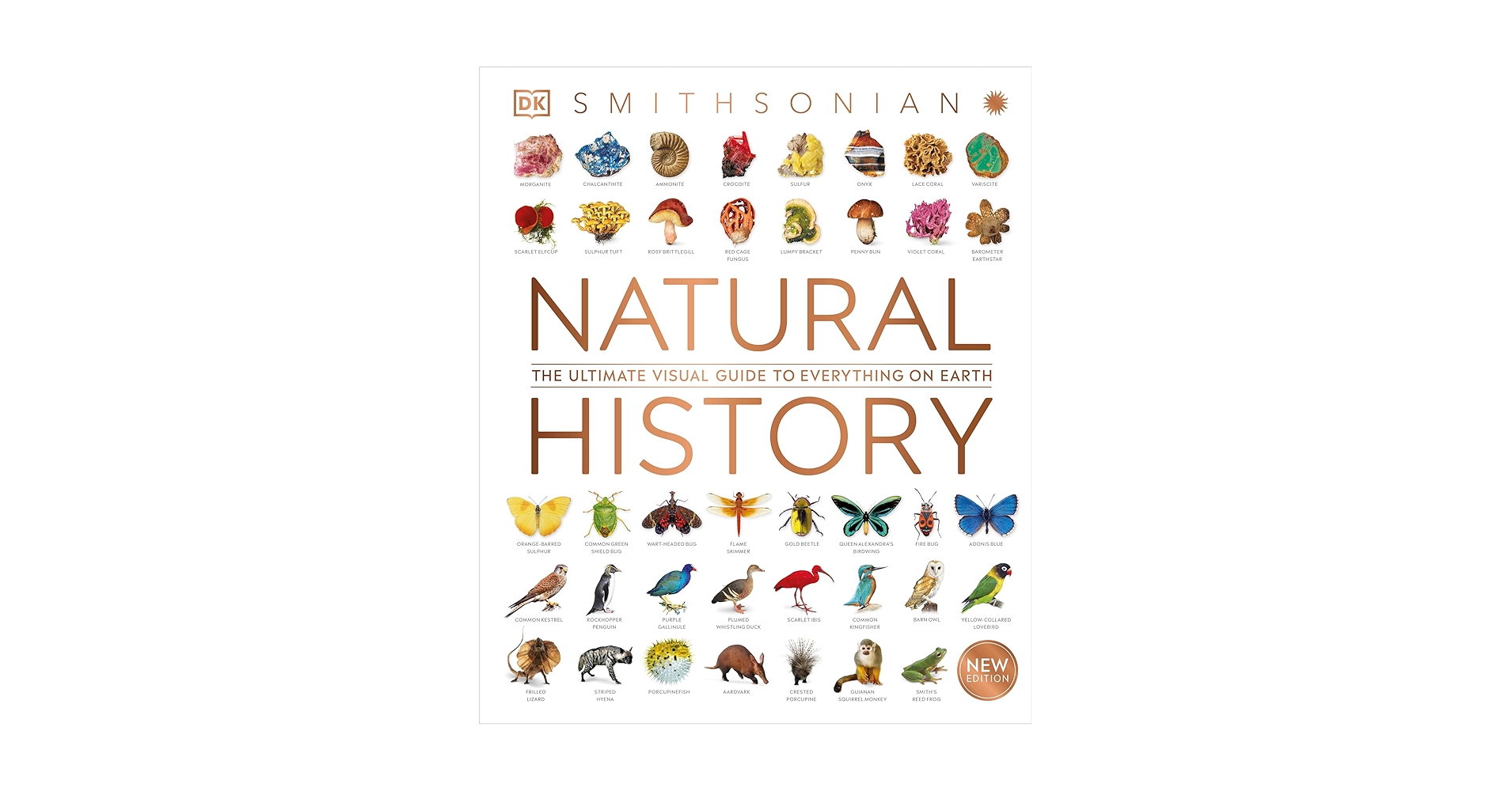 DK The Natural History Book 音声英語絵本 Natural History (DK Definitive Visual Encyclopedias): DK