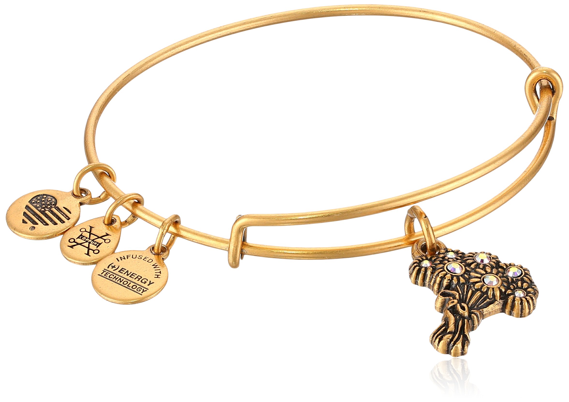 Alex And Ani Womens I Pick You Ewb Bangle Bracelet Desertcart