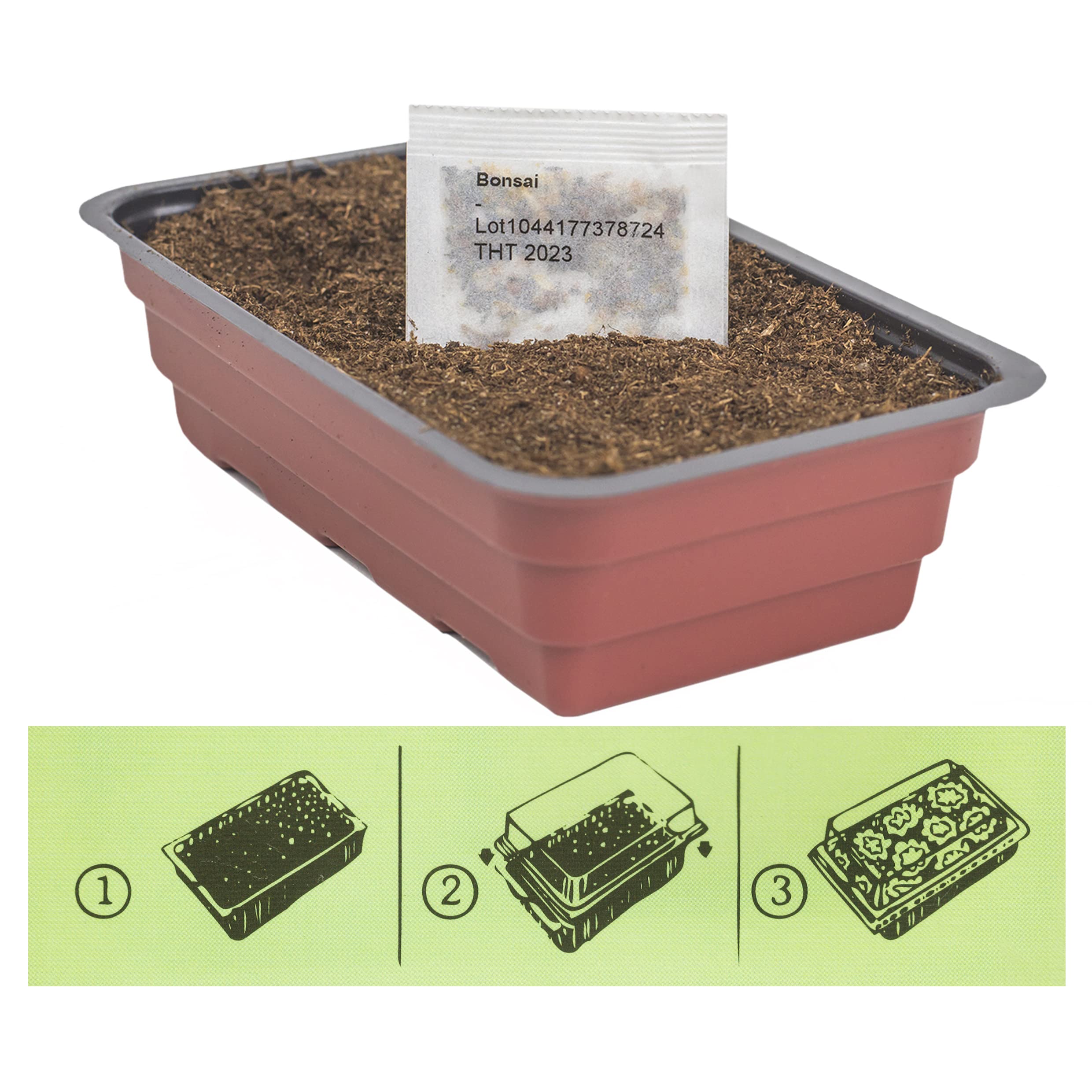 Interflowers Bonsai Samen Set - viele Sorten - echte Bonsai Baum Pflanzen  Anzuchtset Baum zchten inklusive Erde, Samen und Anzuchtschale - Bonsai  starter kit mit Anzuchterde (Olive Tree) : Amazon.de: Garten