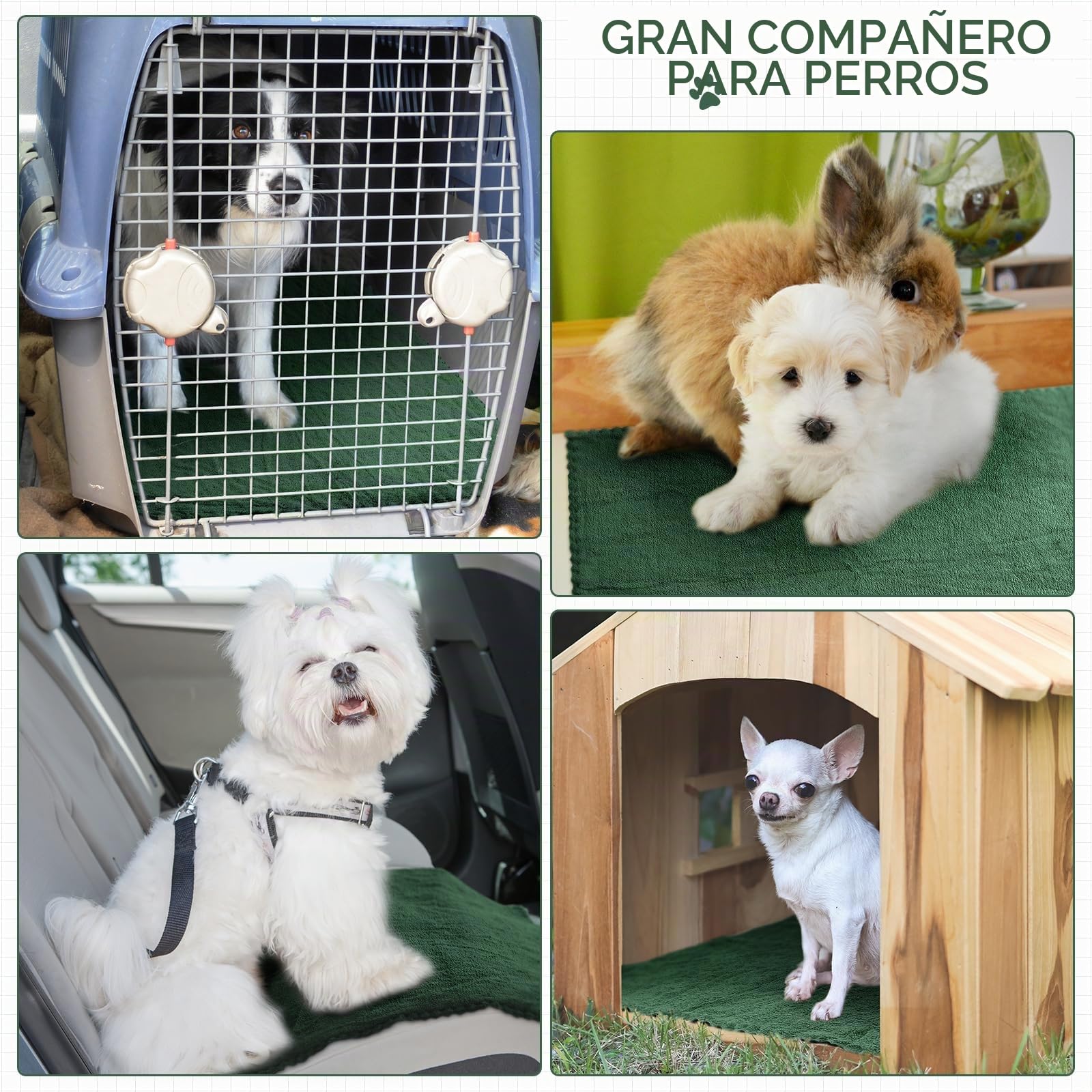 Panelee 10 Mantas de Cobayas Impermeables Alfombra de Jaula Absorbente Lavable de Mascota Almohadilla de Orina Reutilizable de Animal Pequeño Cubierta Forro Cama Dormir