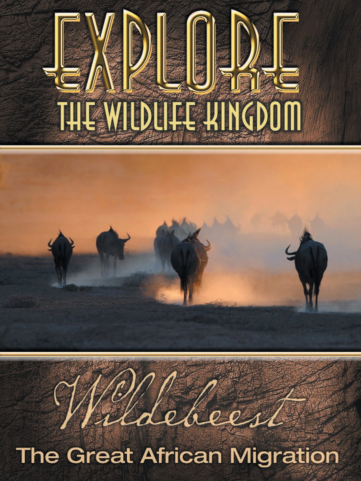Explore The Wildlife Kingdom: Wildebeest - The Great African Migration