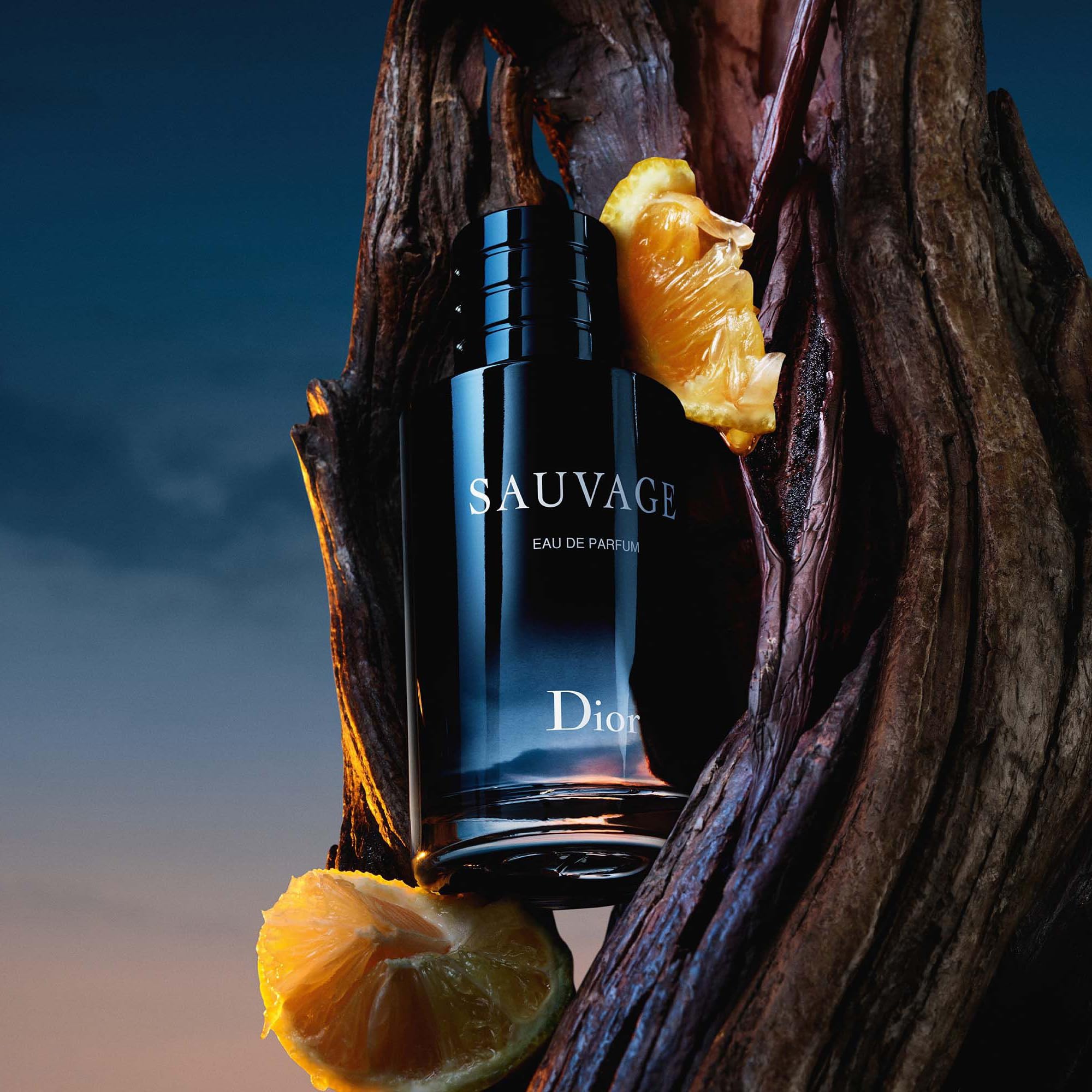Amazon | 【国内正規品】DIOR ディオール ソヴァージュ オードゥ 