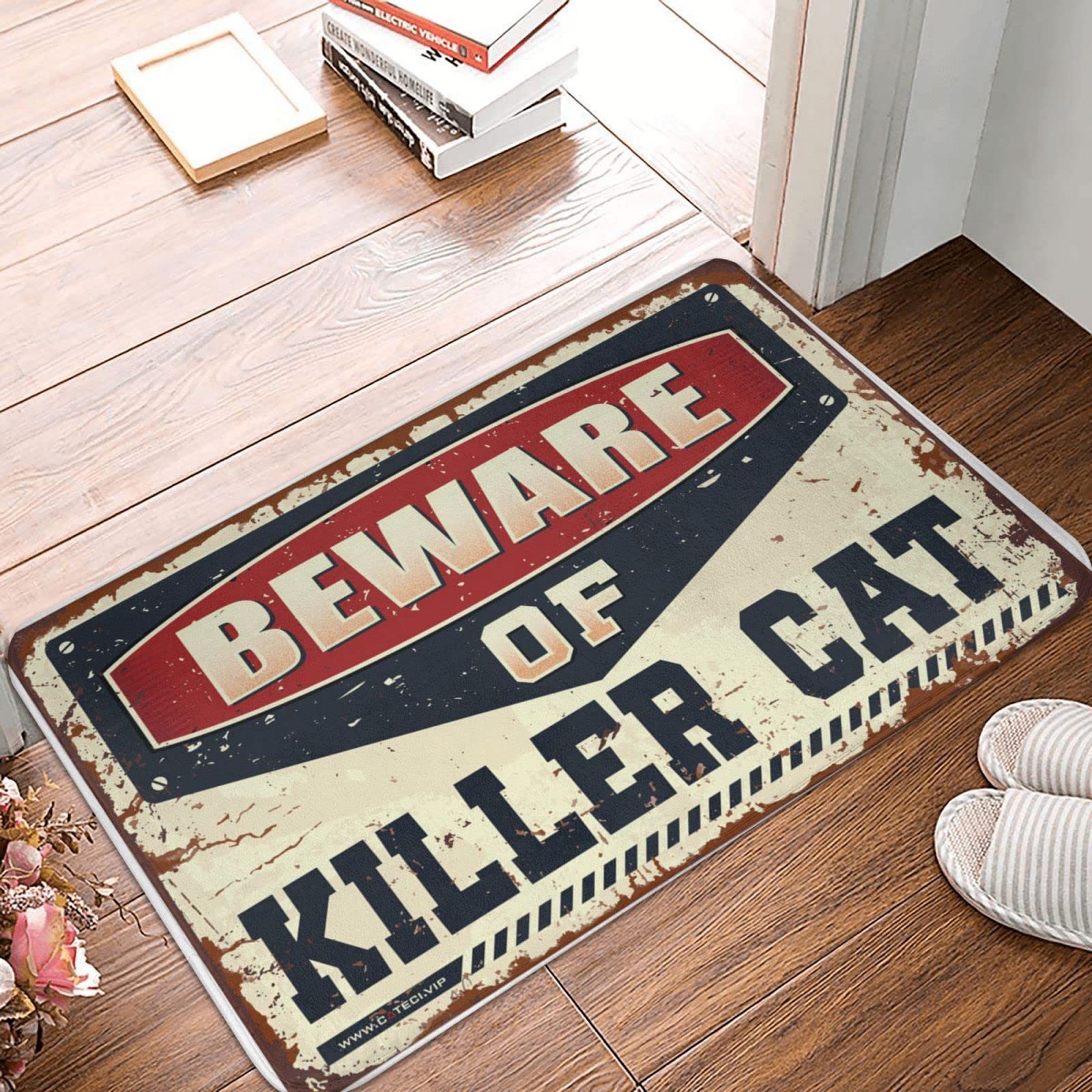 Paillasson d'entrée intérieur anti-salissure et tapis humoristique pour propriétaire de chat