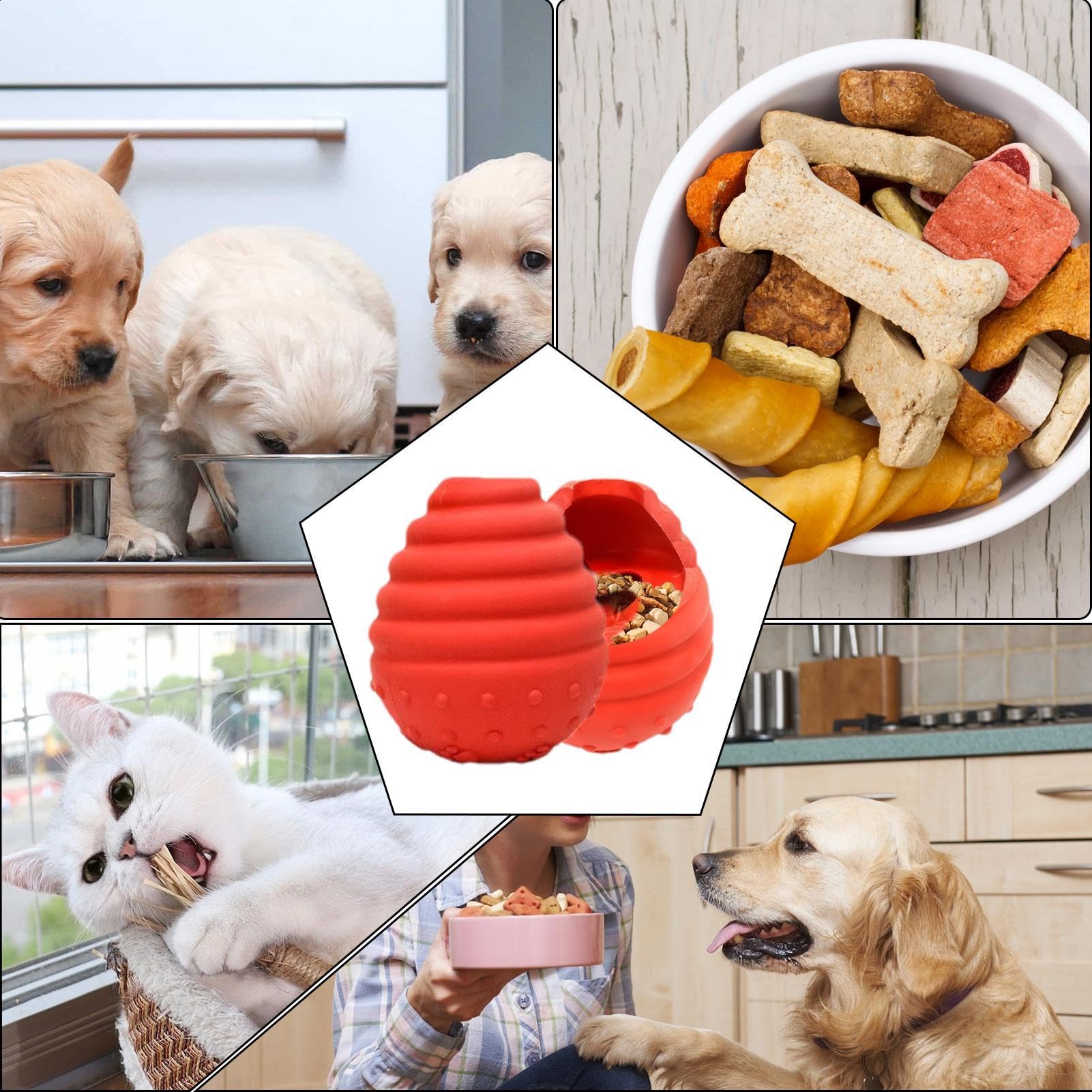 Coachi Chase & Treat | Honden | Bestellen