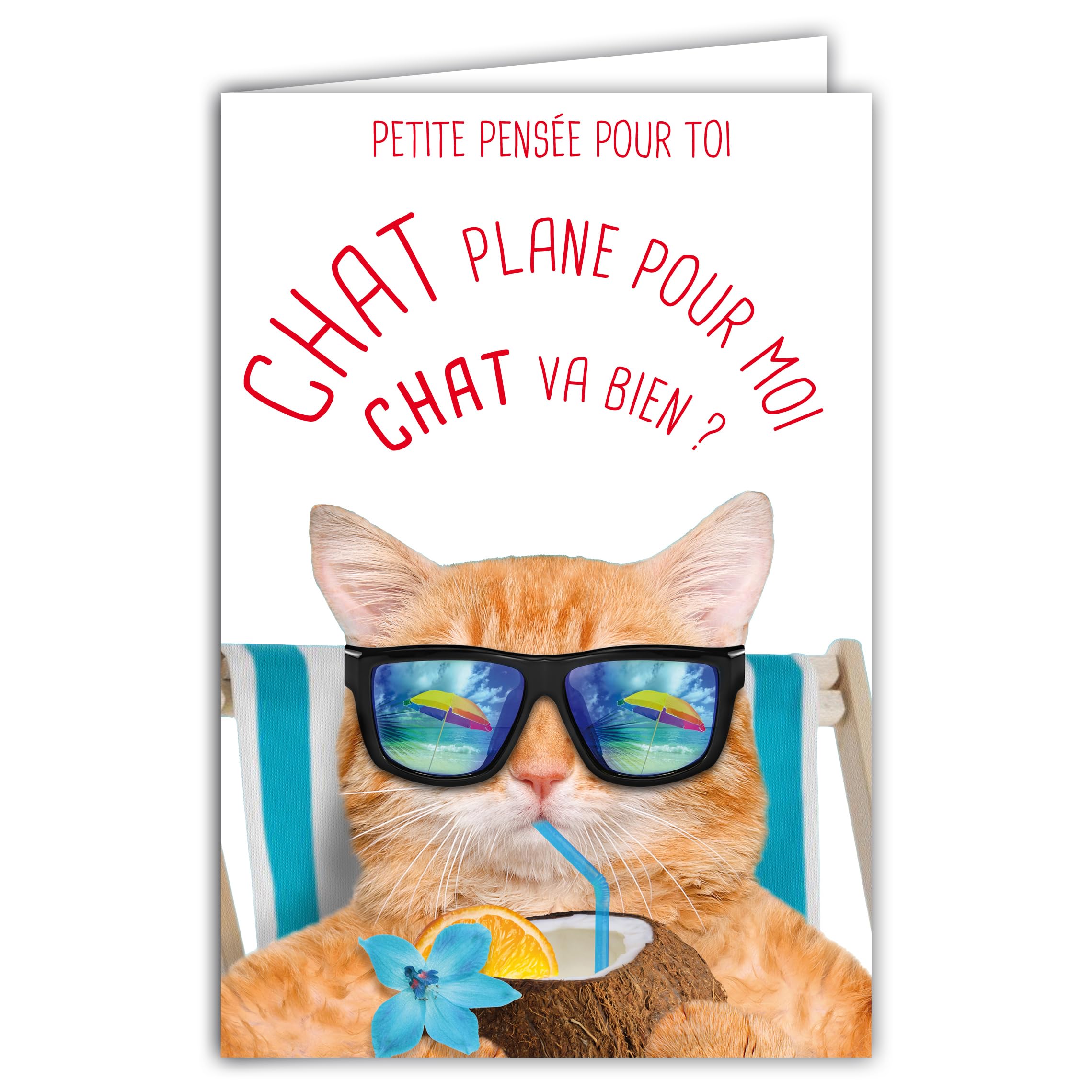 69-6221 Card Small Thought for You Humorous Message with Illustrated Envelope Format 17.5 x 12 cm Cat Goes for Me Cat Goes Lounger Cool Relax Funny Funny Funny Creation, Made in France