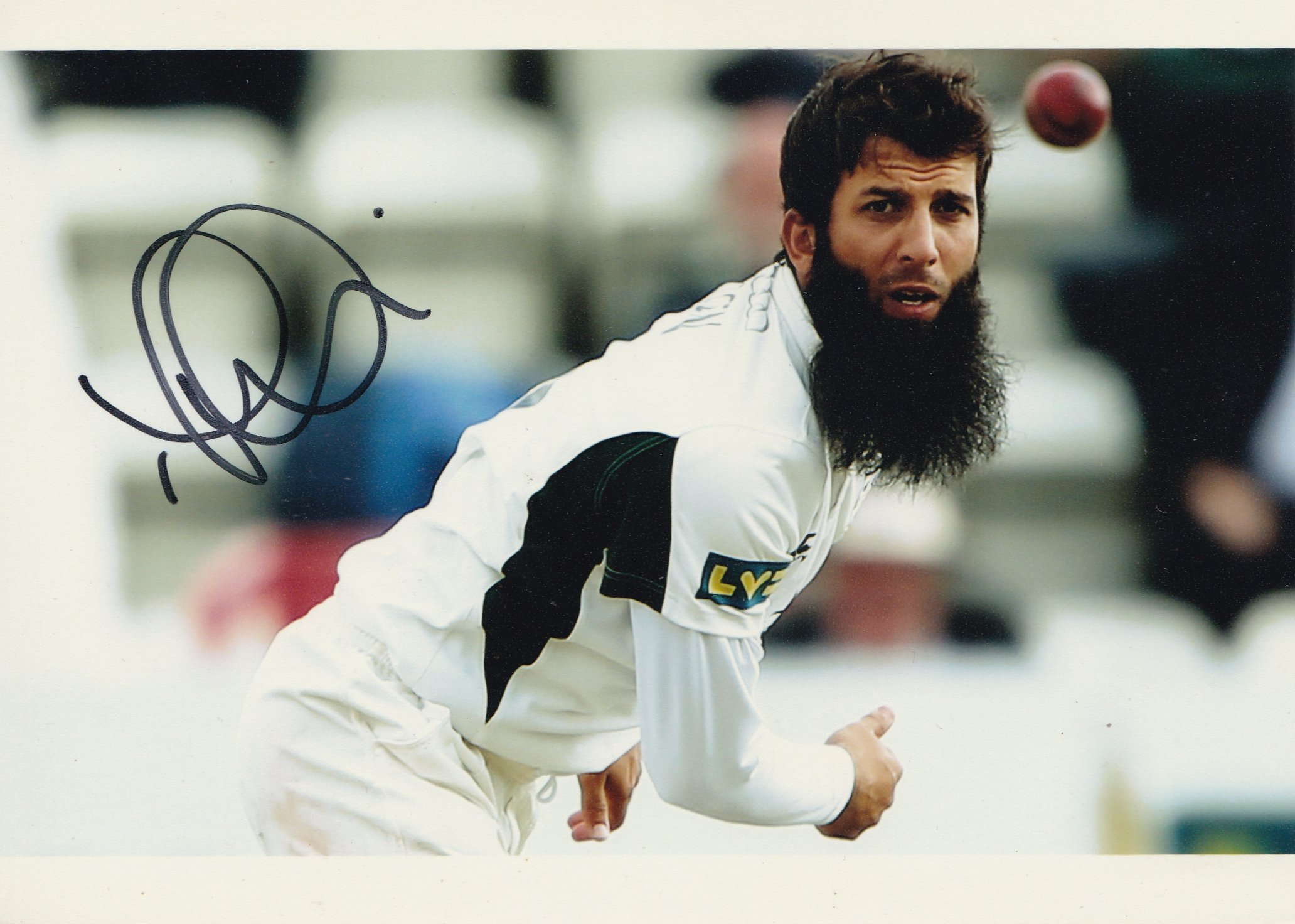 Moeen Ali Cricket Player Photograph (2/2)-image-41