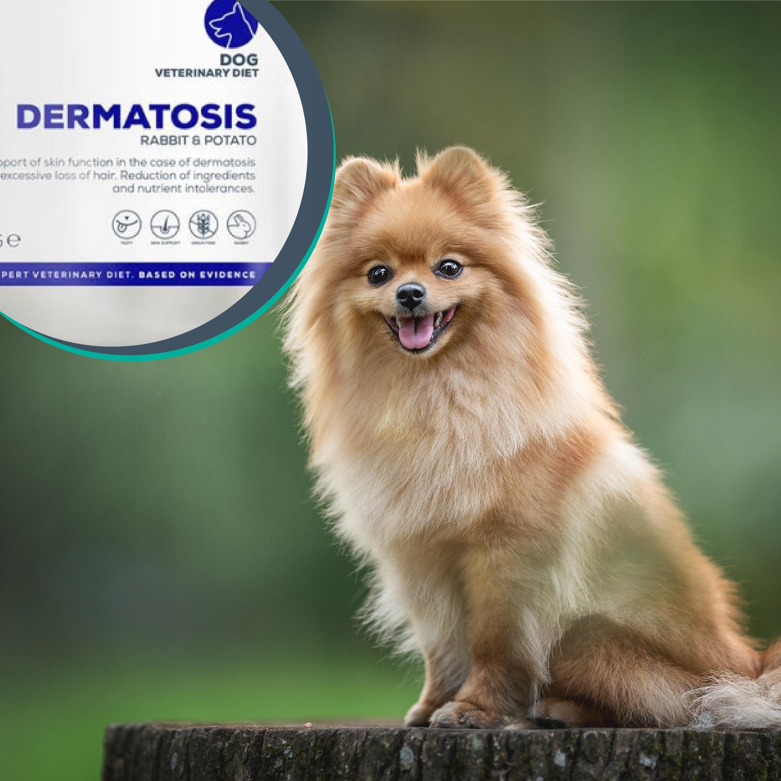 VET EXPERT DERMATOSIS DOG RABBIT & POTATO 12 kg - sucha karma weterynaryjna dla psów z zaburzeniami dermatologicznymi oraz z nietolerancją pokarmową
