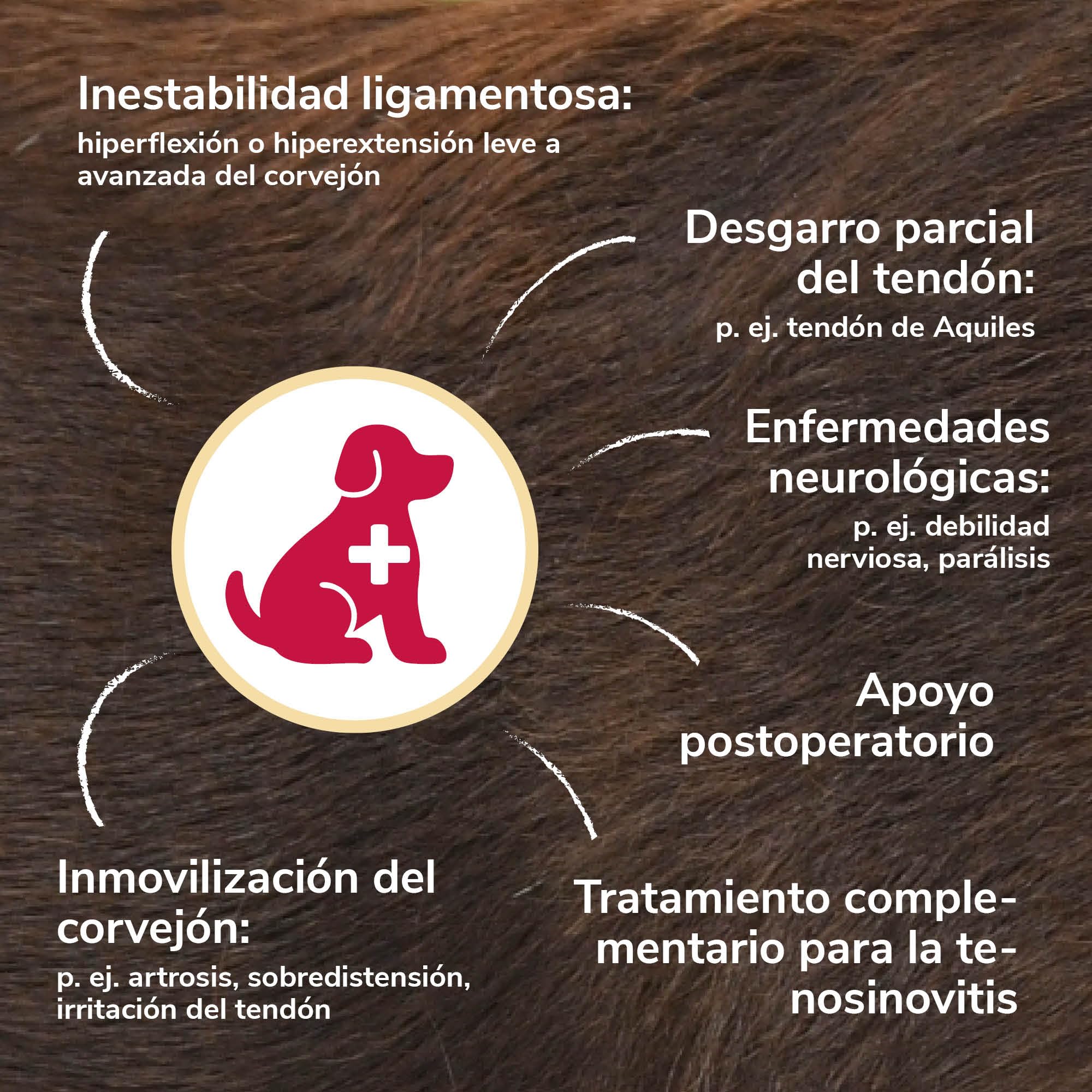 Vendaje de Corvejón de Espuma Talla L para Perros & Gatos – Transpirable con Férulas para el Soporte del Corvejón en Artrosis e Inestabilidad