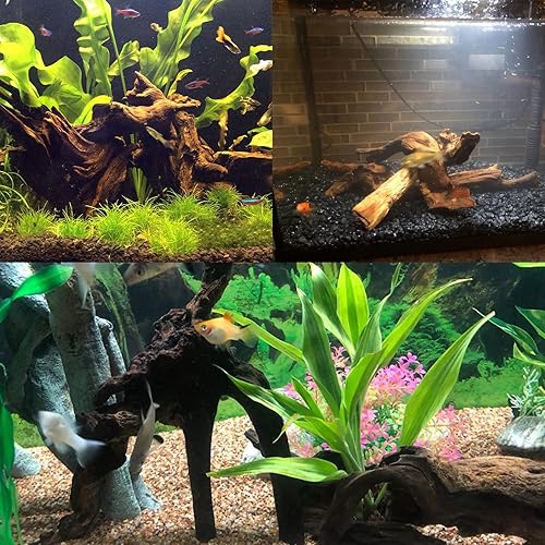 Vista 14 de Tfwadmx Ramas de madera natural para acuario, decoración de madera flotante, 2 piezas de 8.5-12 pulgadas, decoración de madera flotante, terrario