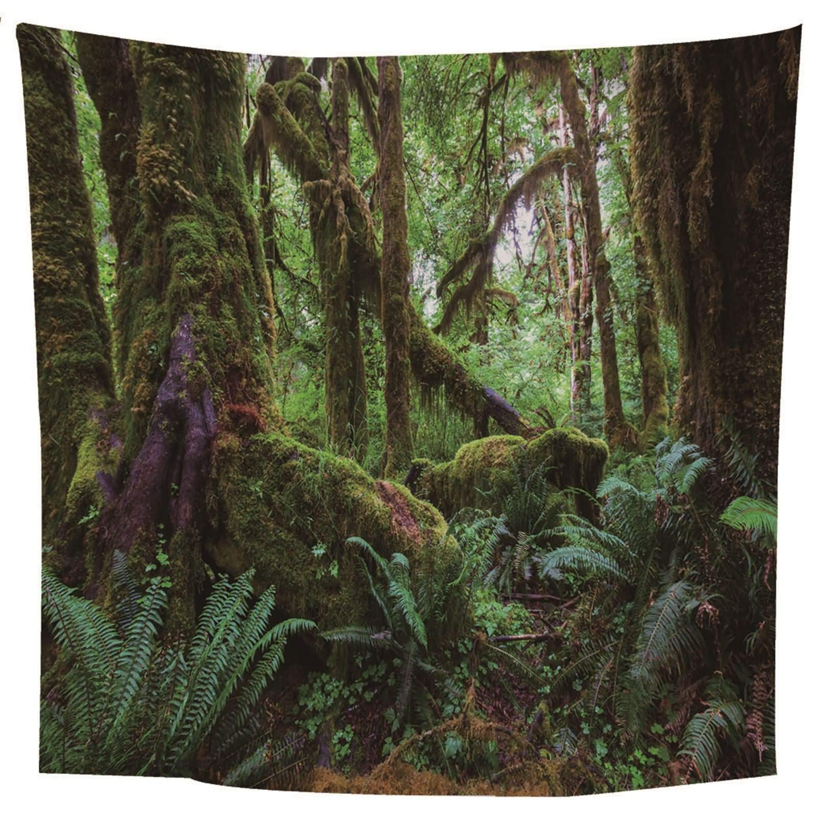 Tapisserie murales tissu imprimé forêt tropicale vert | Tensure murale chambre et salon