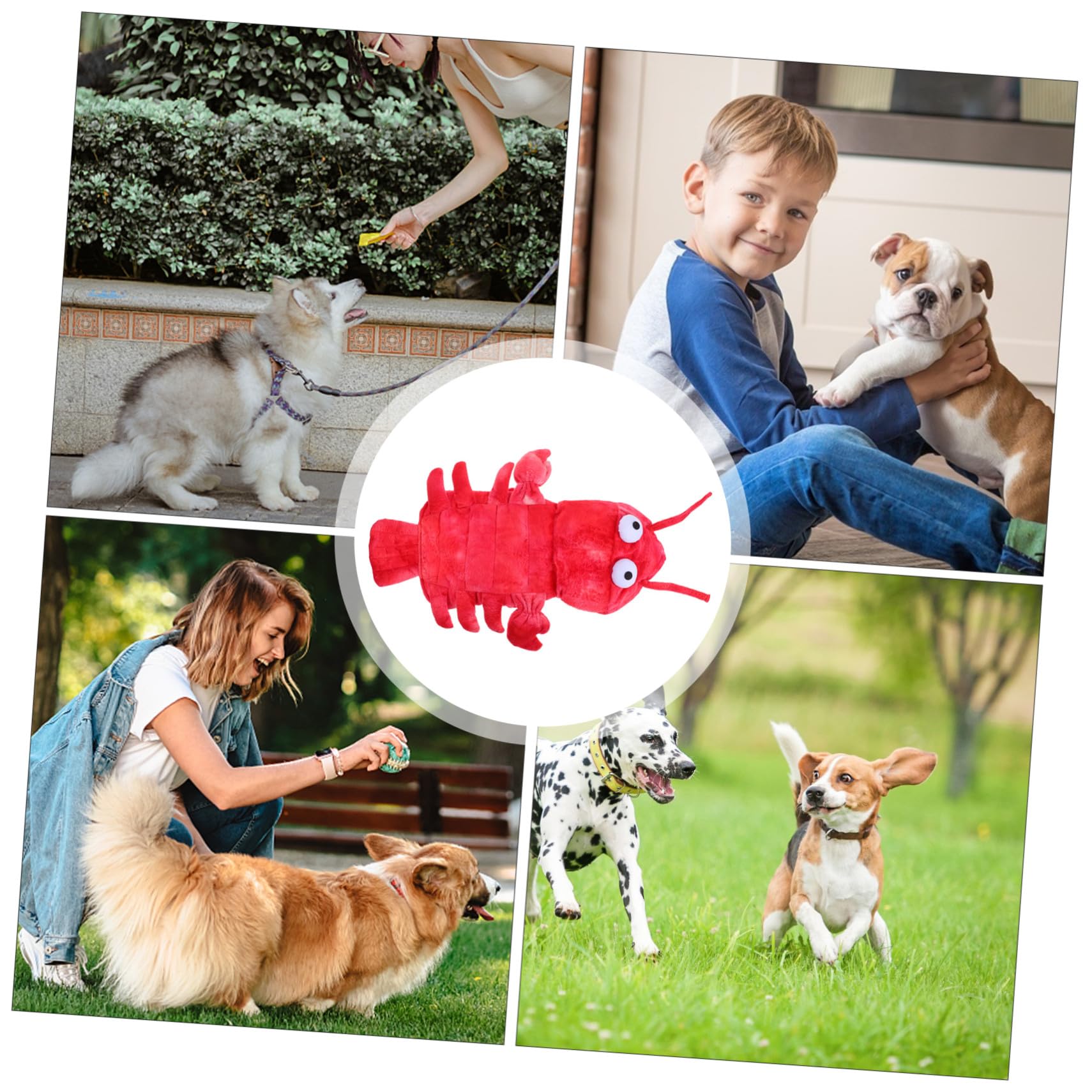 KOMBIUDA Costume Halloween Cane Rosso Forma di Aragosta in Xs Abbigliamento per Cani Piccoli Vestito Divertente e Caldo per Feste Autunnali e Invernali