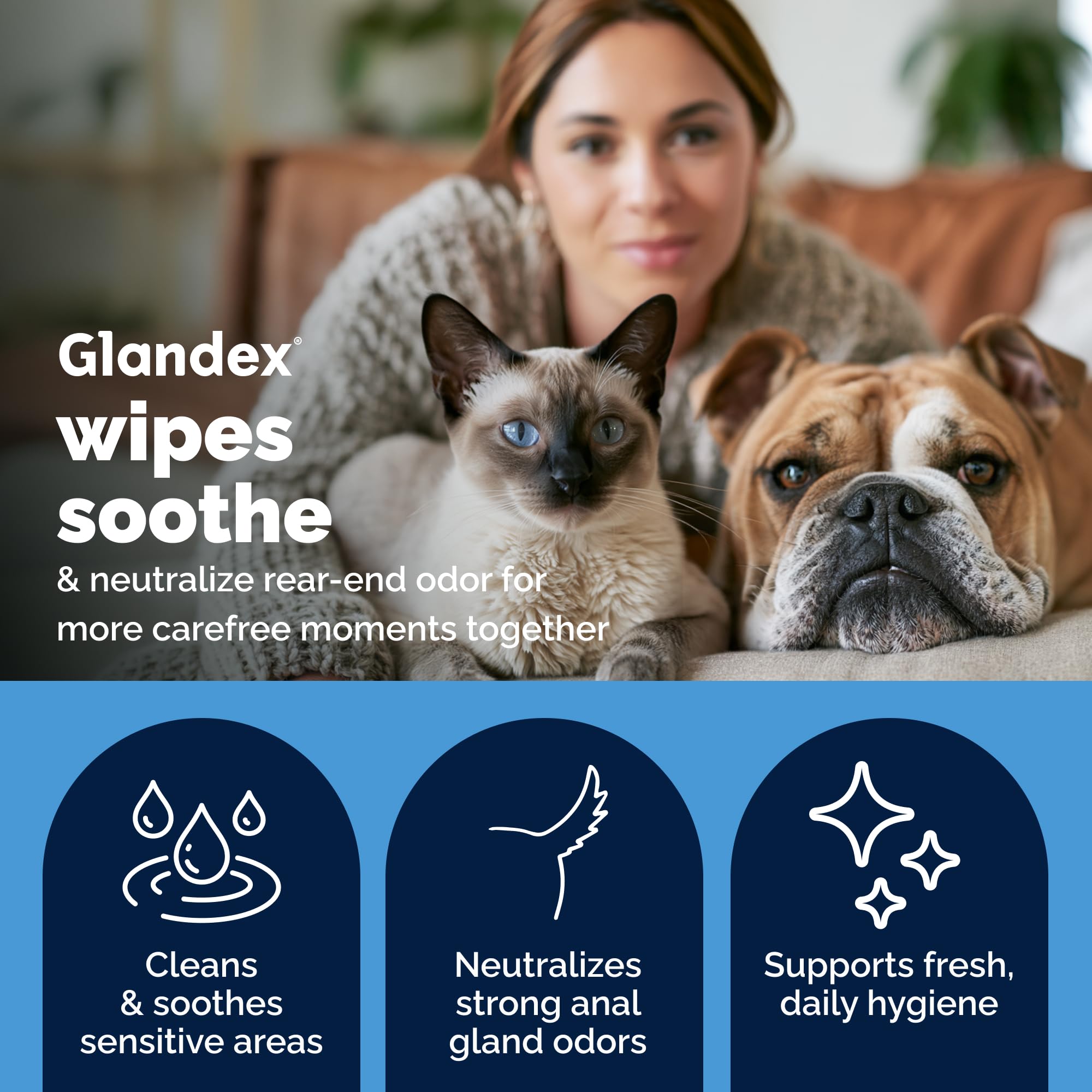 Glandex Lingettes pour Animaux domestiques pour Le Nettoyage et la désodorisation - Lingettes parfumées fraîches, 75 unités - par Vetnique Labs