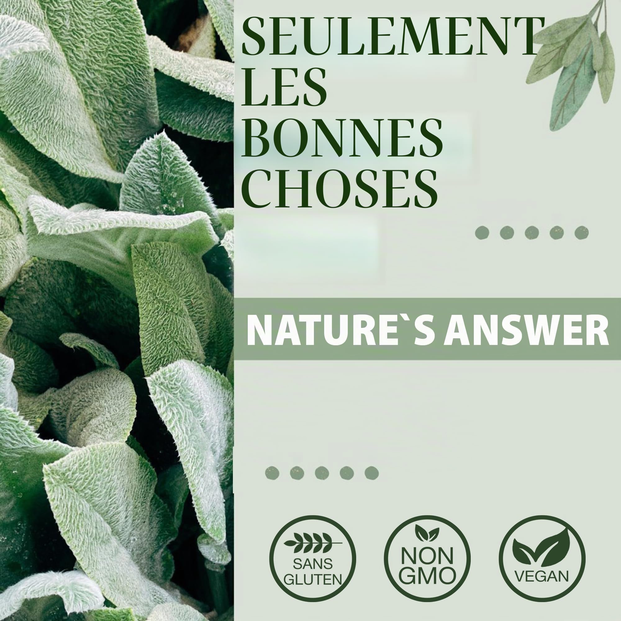 Nature's Answer, Milk Thistle Extract (Extrait de Graines de Chardon-Marie), Gouttes végétaliennes, 30ml, Sans Soja, Sans Gluten, Végétarien, Sans OGM