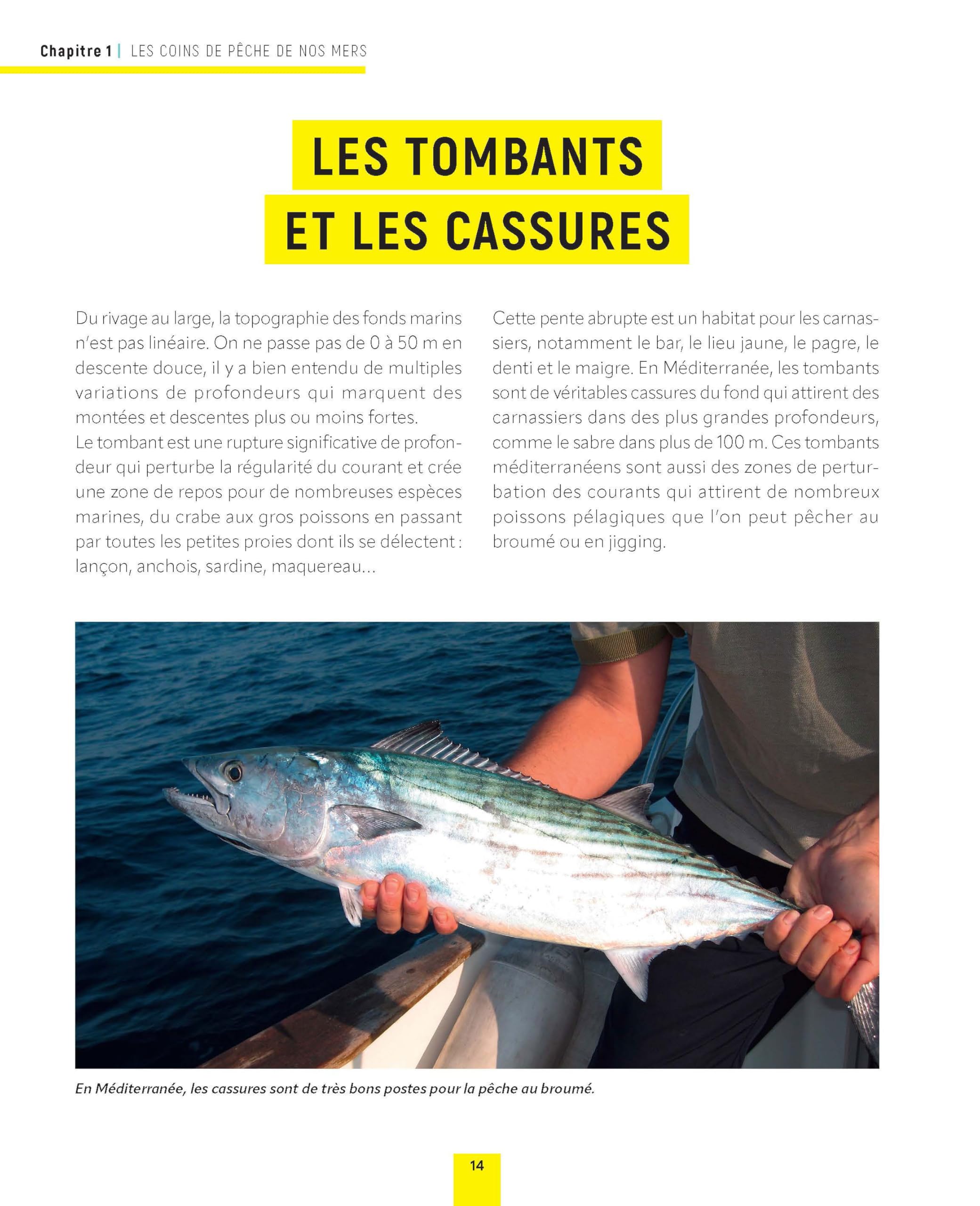 Le grand livre Vagnon de la pêche en mer